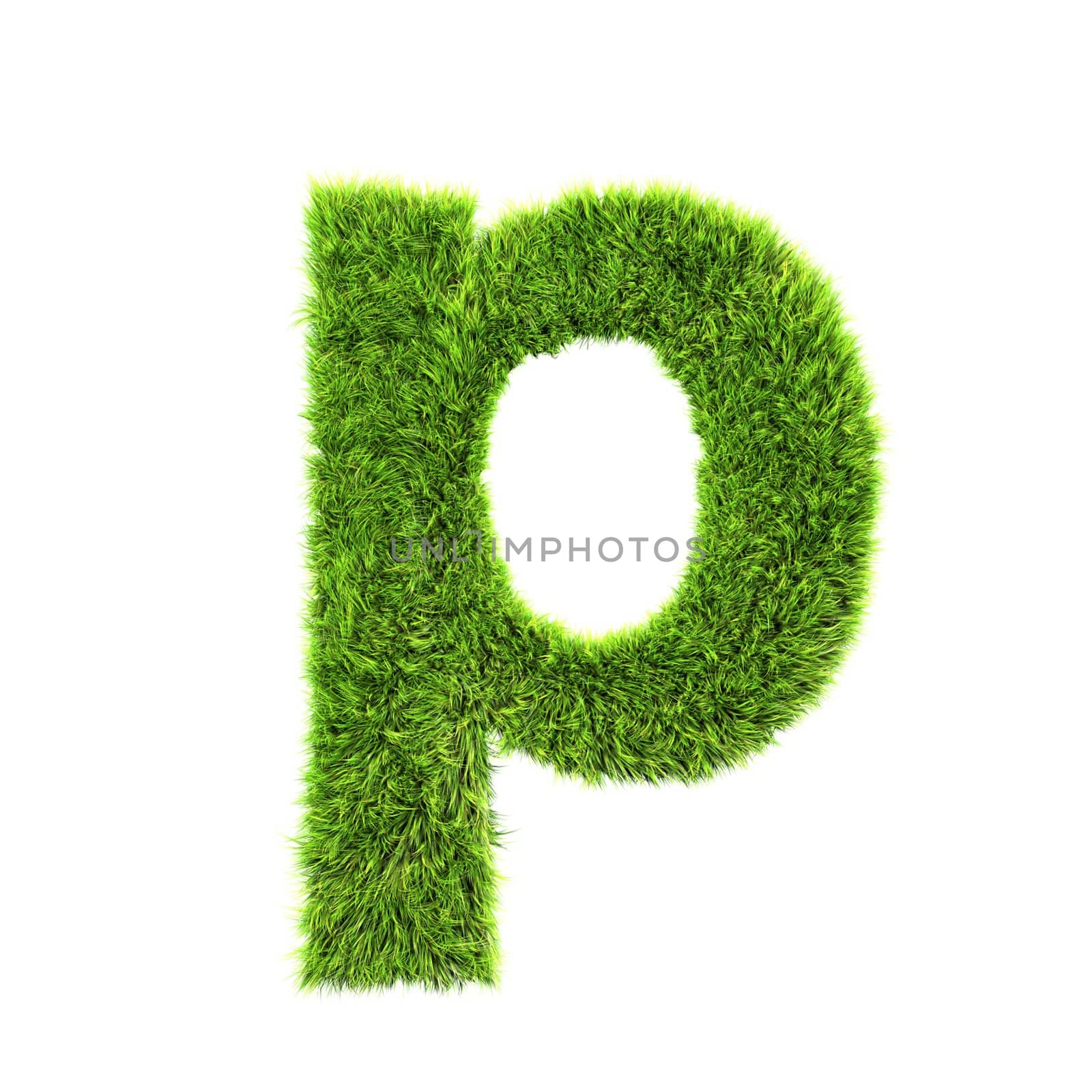 3d grass letter isolated on white background - p by chrisroll