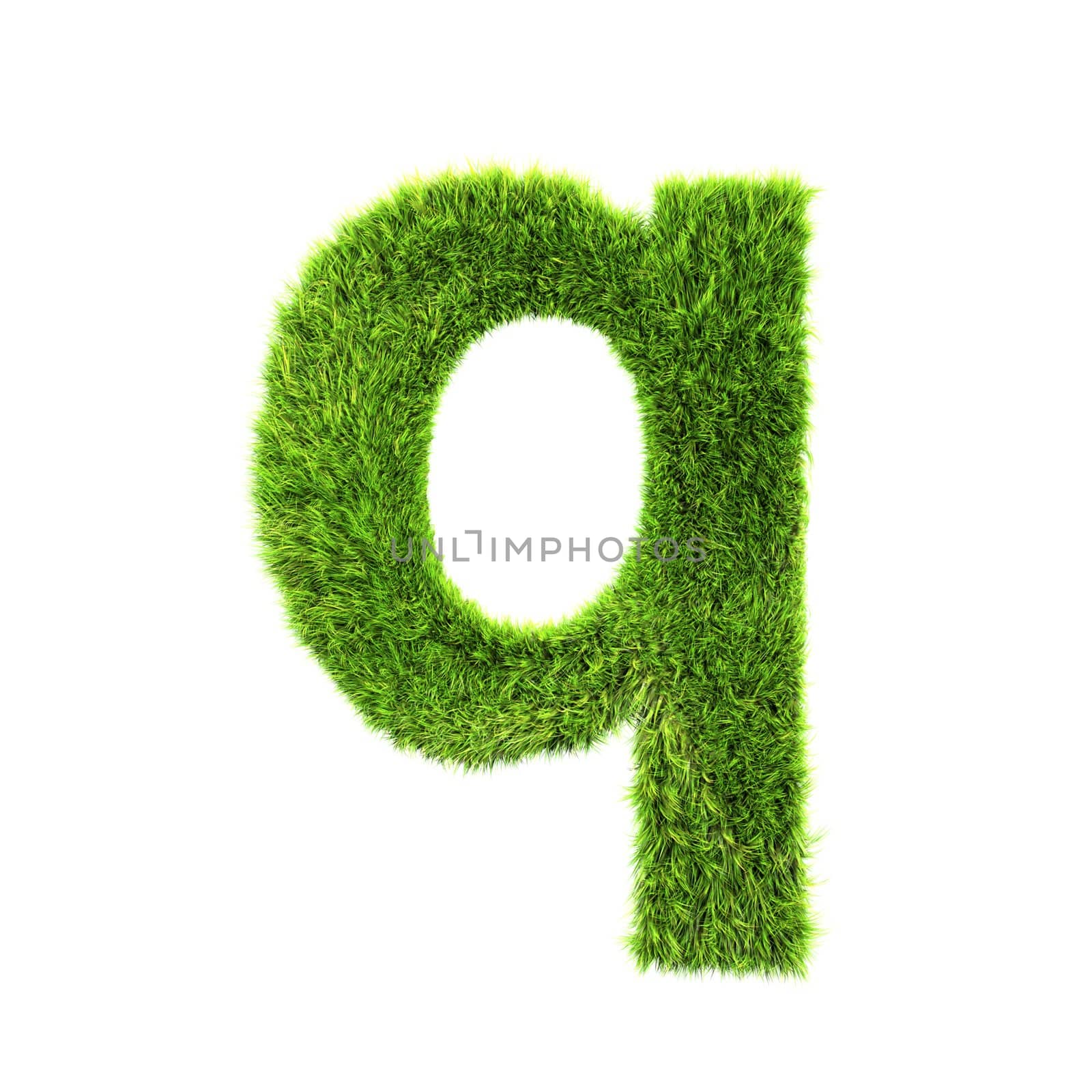 3d grass letter isolated on white background - q