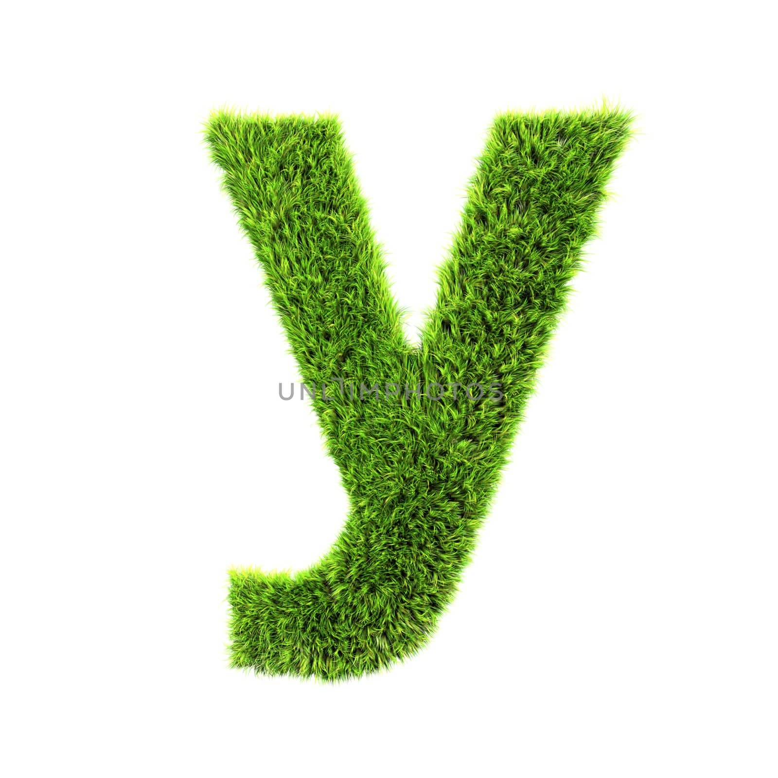 3d grass letter isolated on white background - y by chrisroll