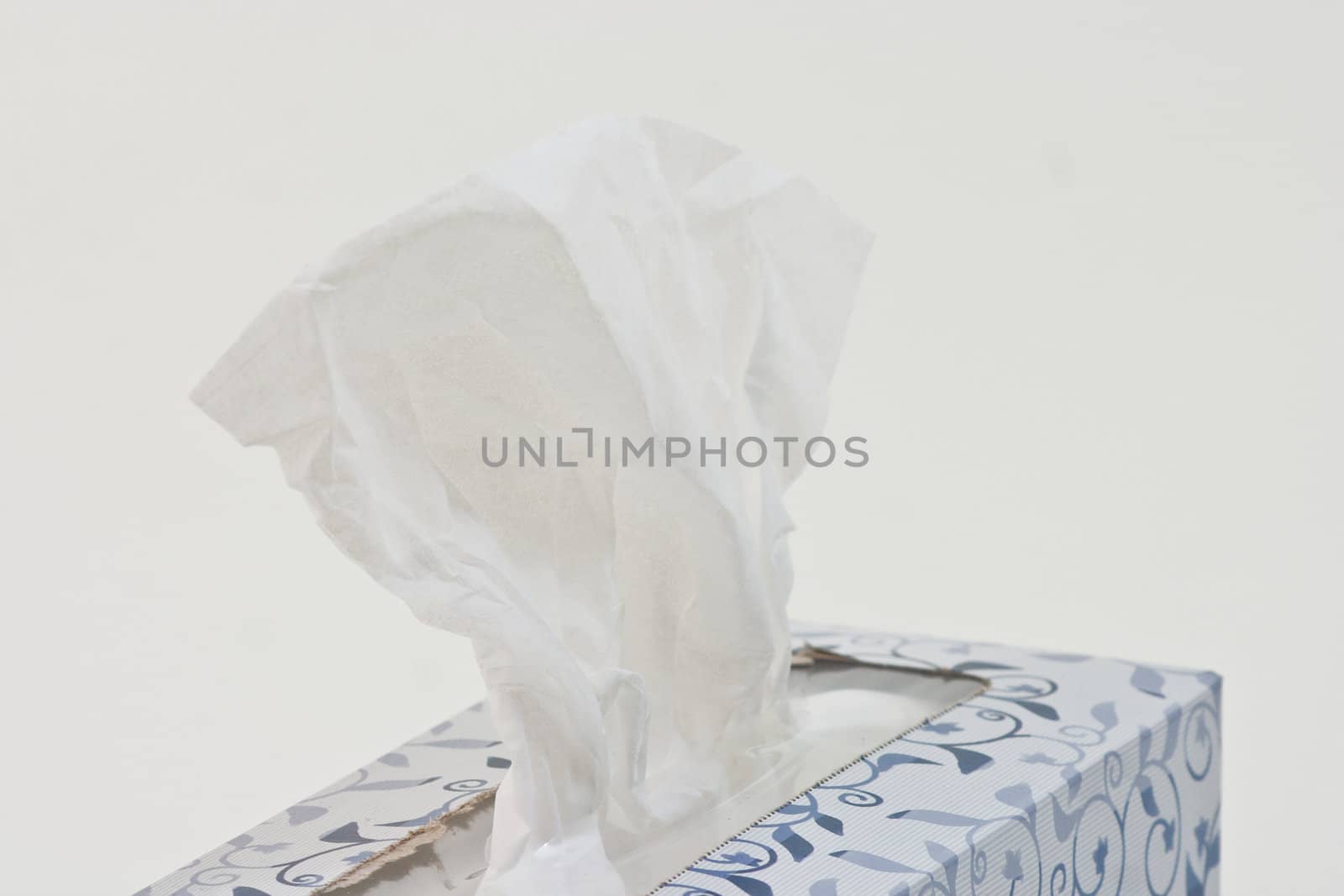 Tissue by rothphotosc