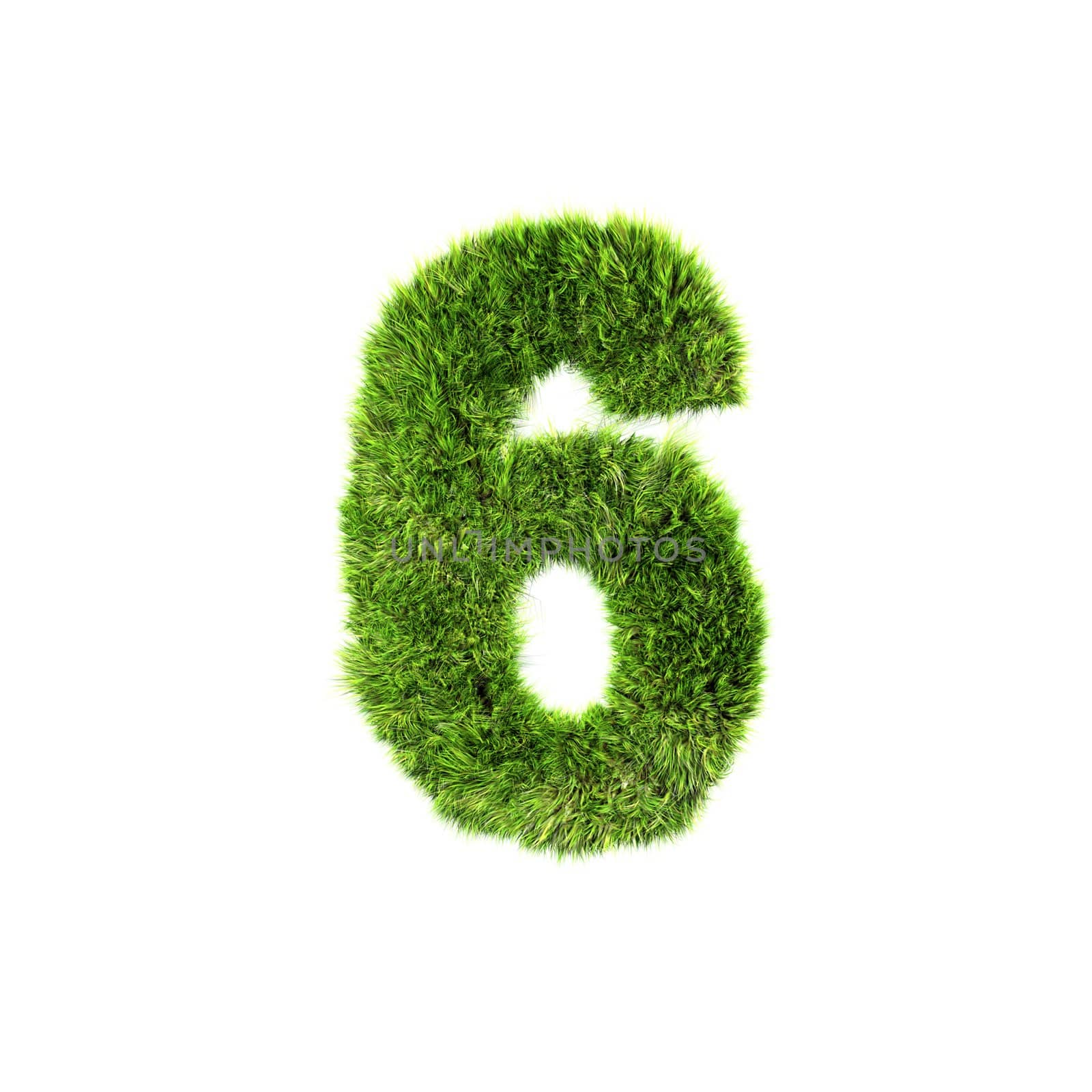 3d grass digit isolated on a white background - 6 by chrisroll