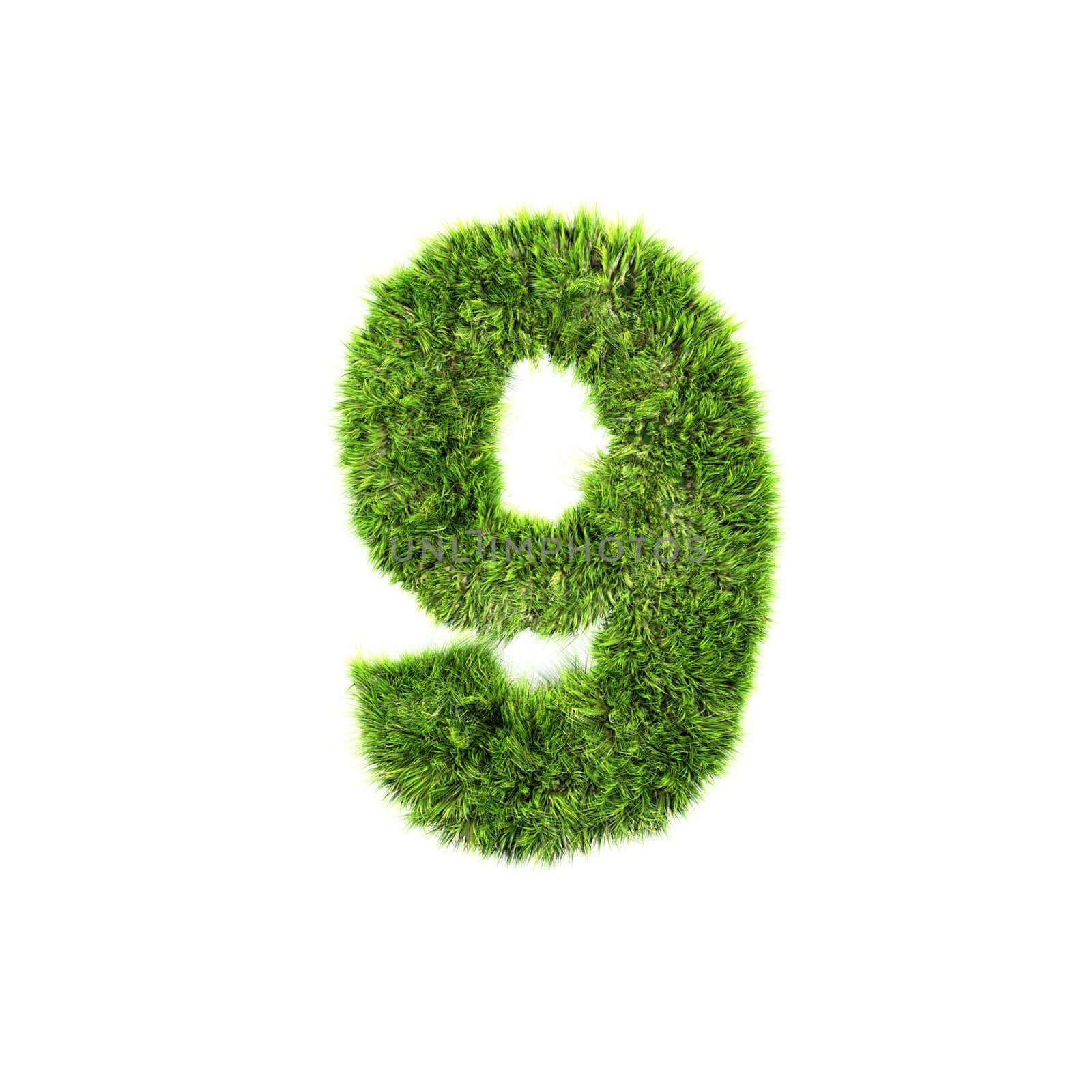 3d grass digit isolated on a white background - 9 by chrisroll