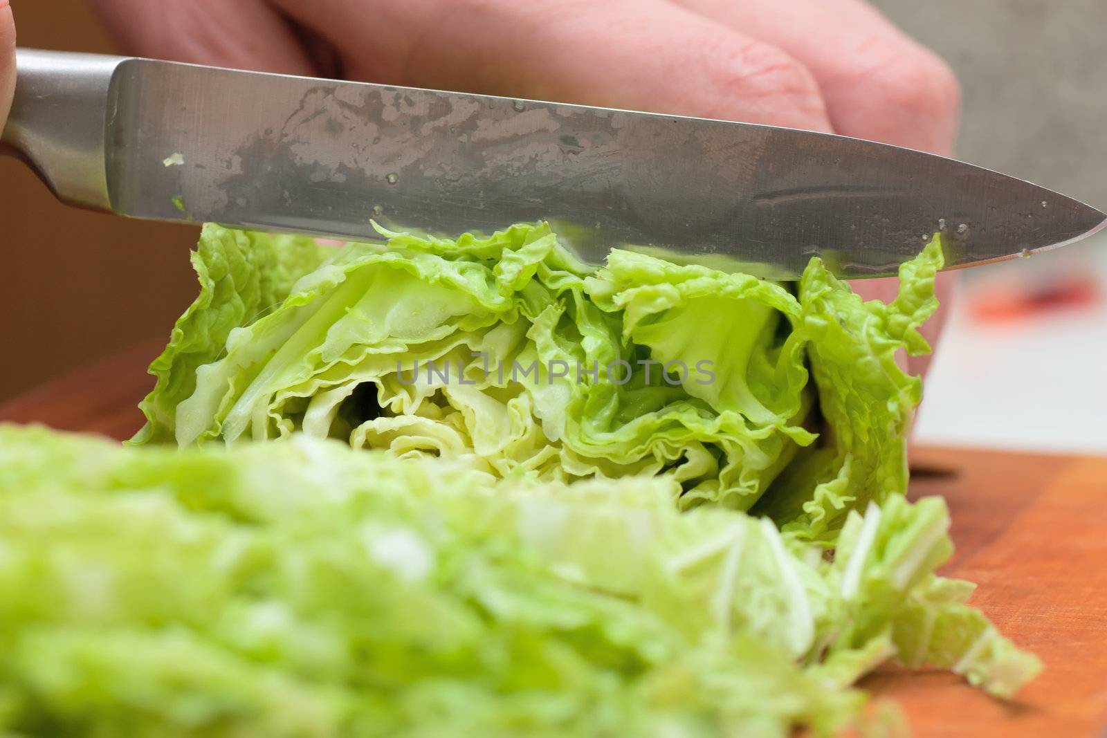 Woman hands cutting fresh green lettuce