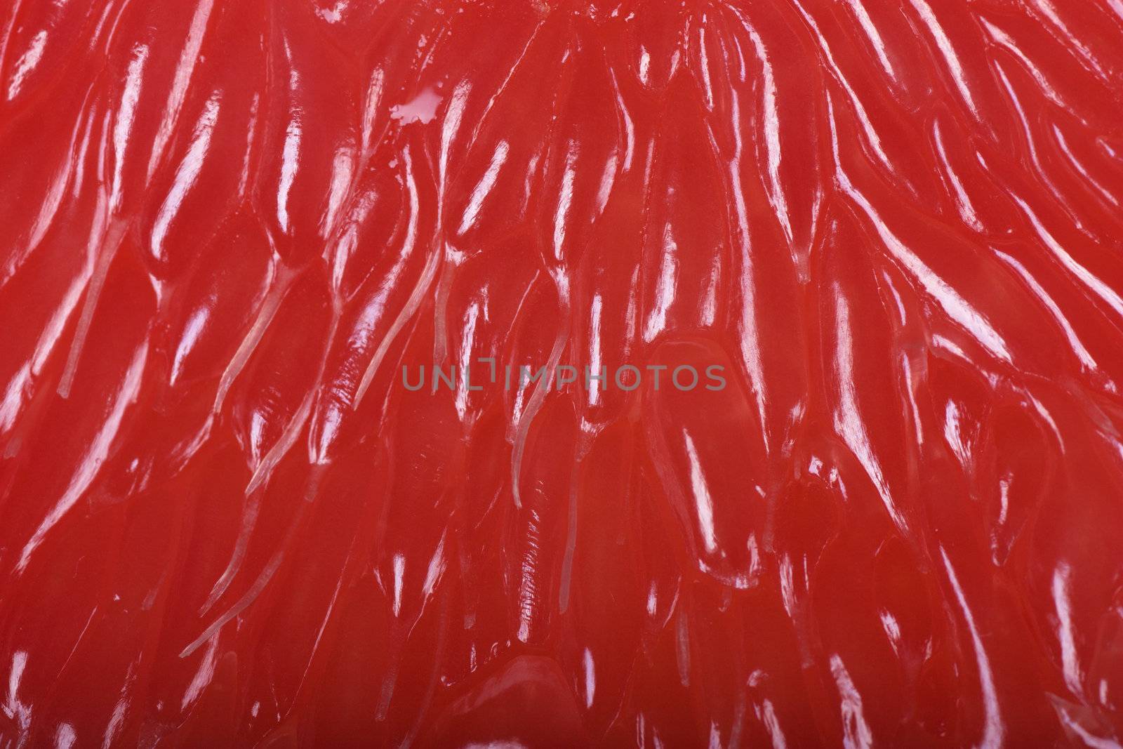 Macro view of ripe red grapefruit pulp