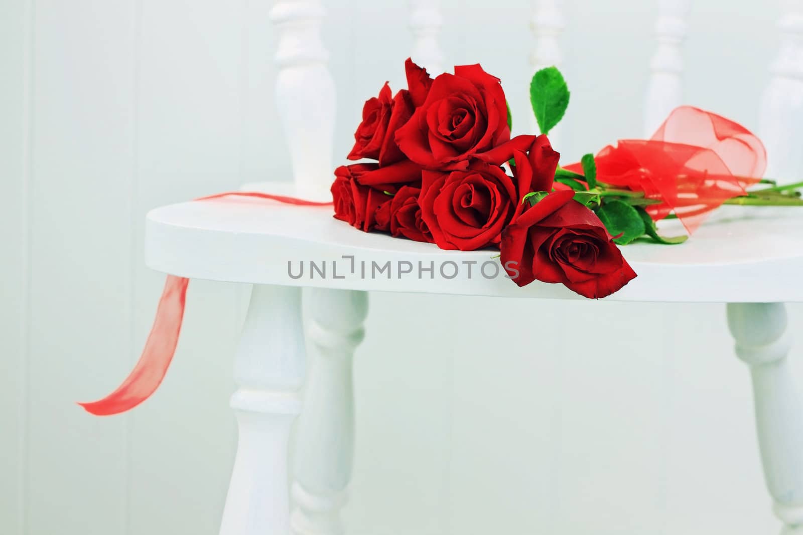 Red Roses on a White Chair by StephanieFrey