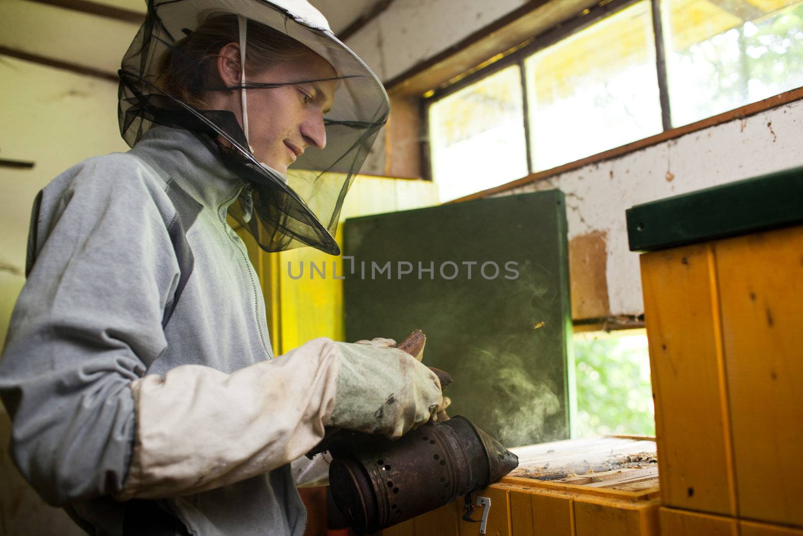 Beekeeper working in an apiary holding a frame by viktor_cap