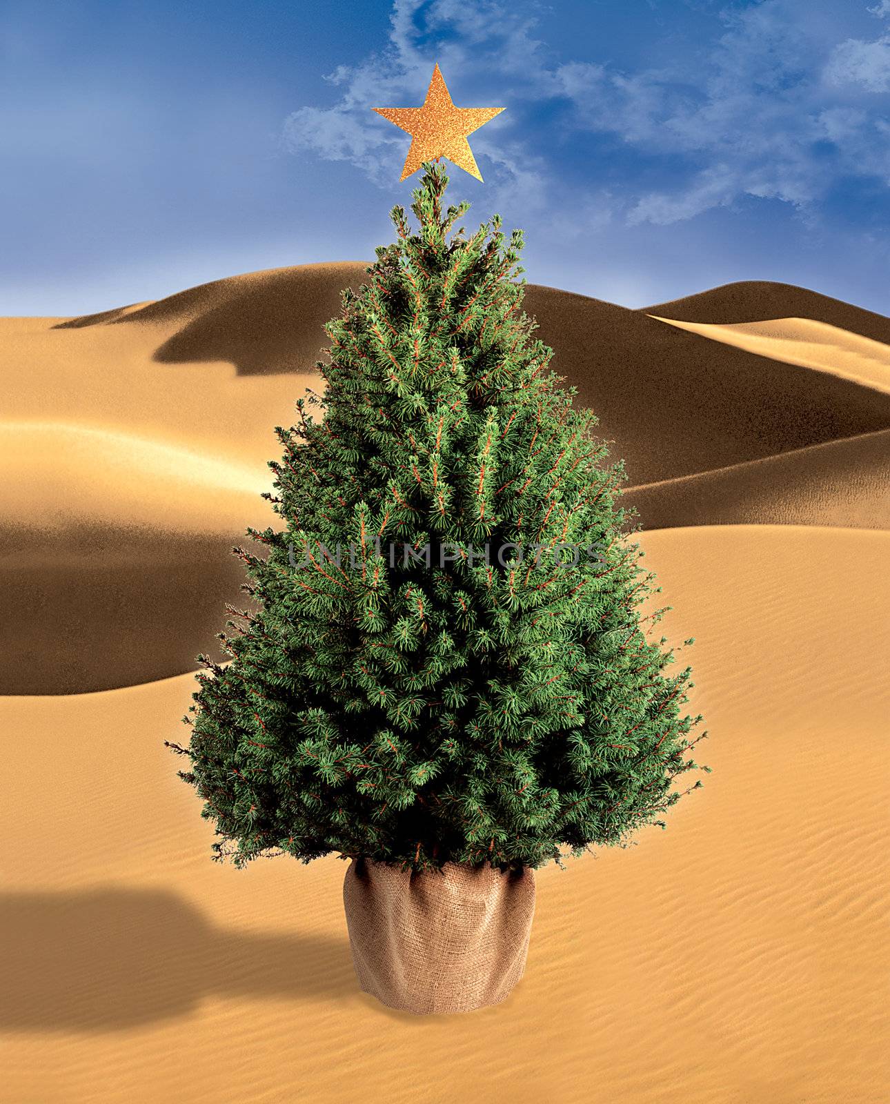 illustration of a Christmas tree in the desert 