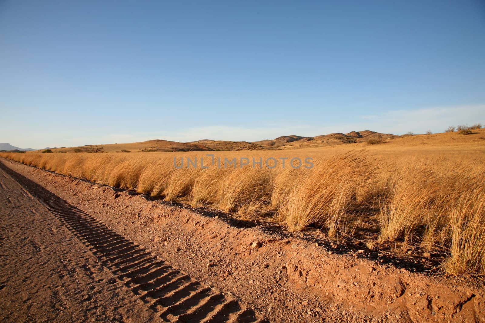 Tire tracks in Namibia by watchtheworld