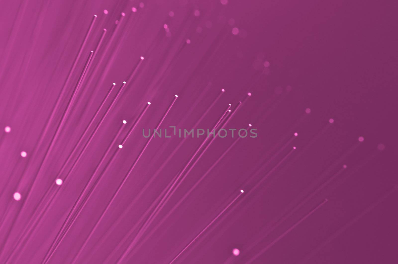 Many ends of vibrant pink illuminated fiber optic light strands close up