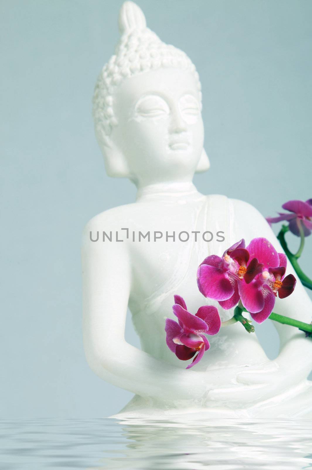 Buddha in the water with a white orchid by Farina6000