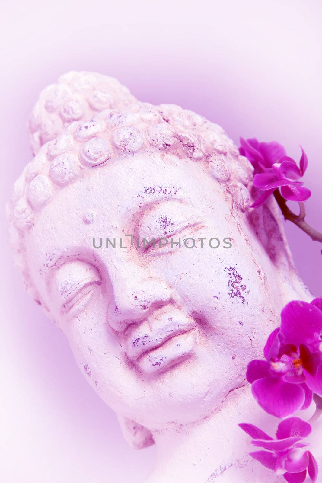Buddha and orchid by Farina6000