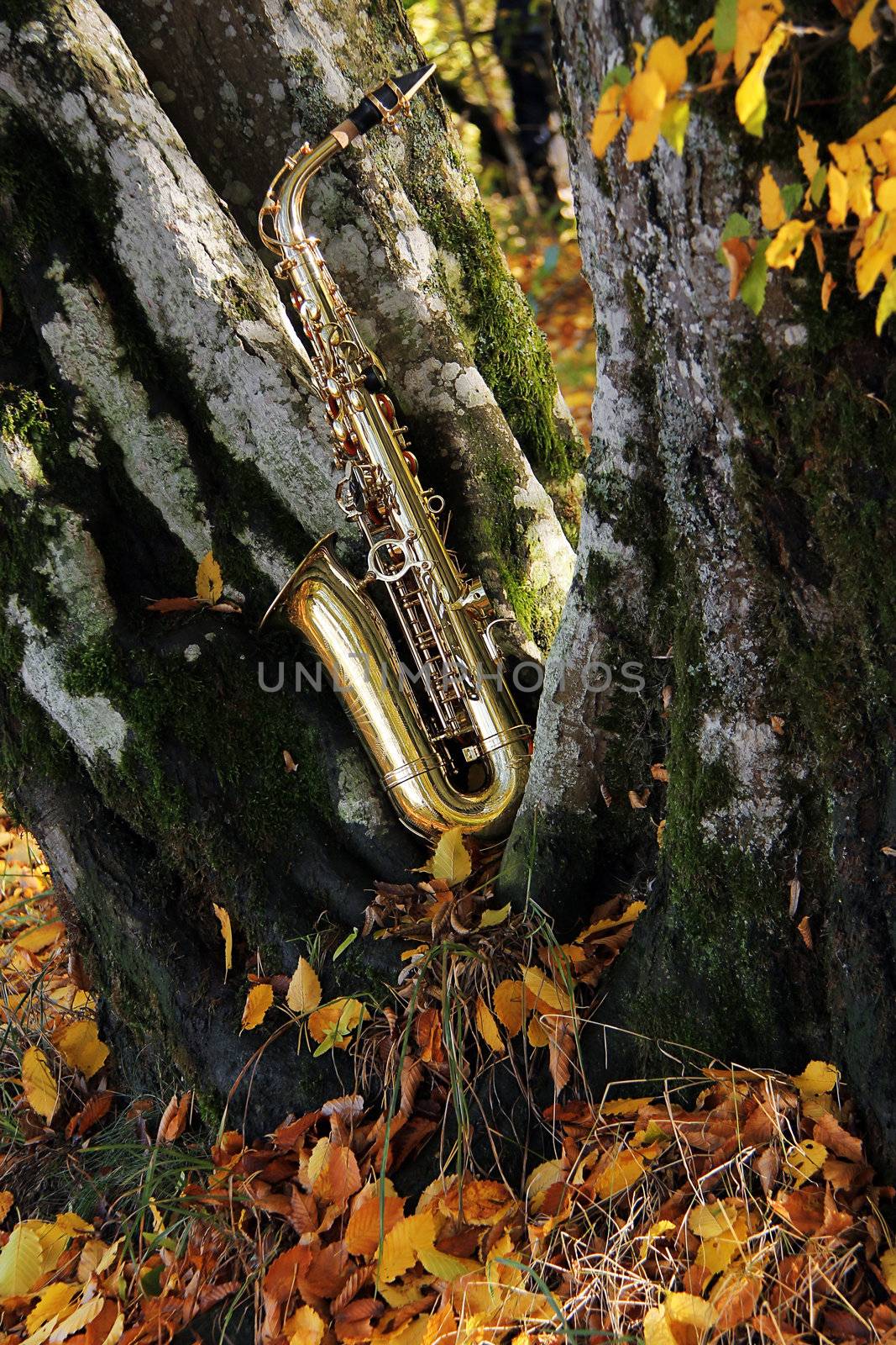 old grungy saxophone by Hasenonkel