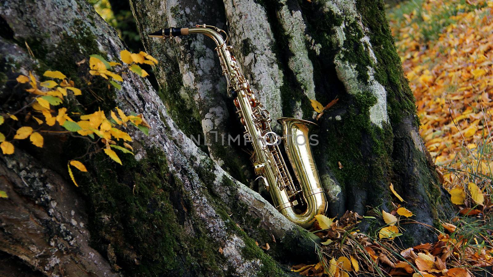 old grungy saxophone by Hasenonkel