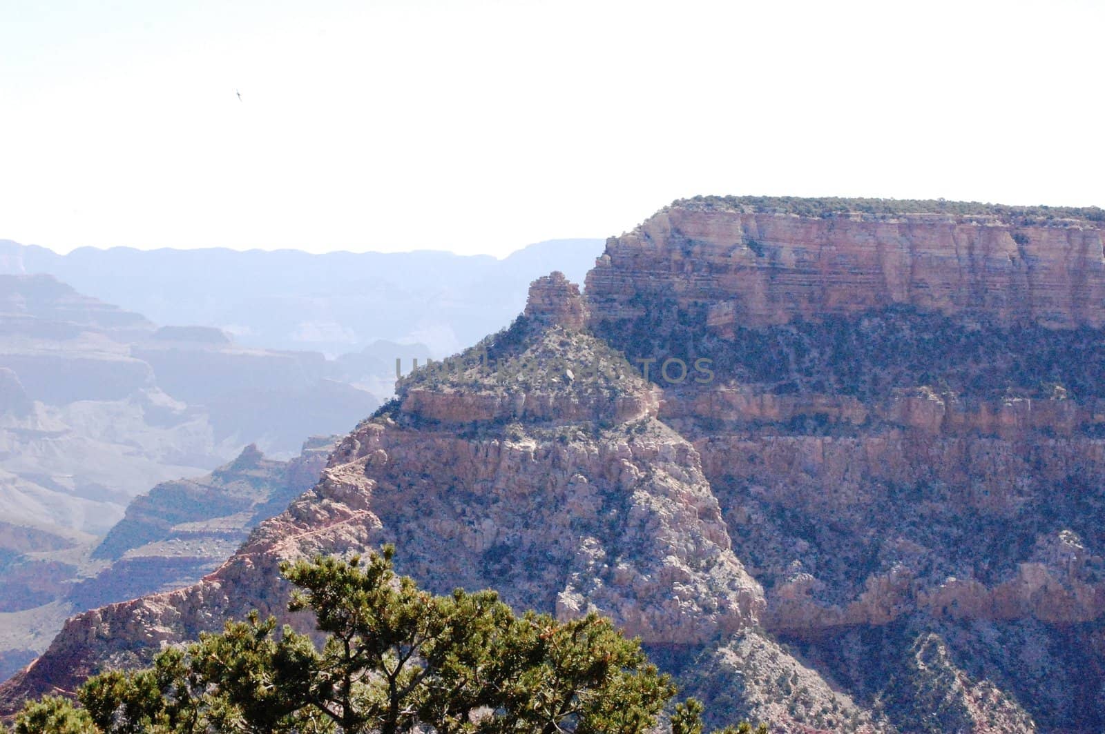 Grand Canyon - Arizona