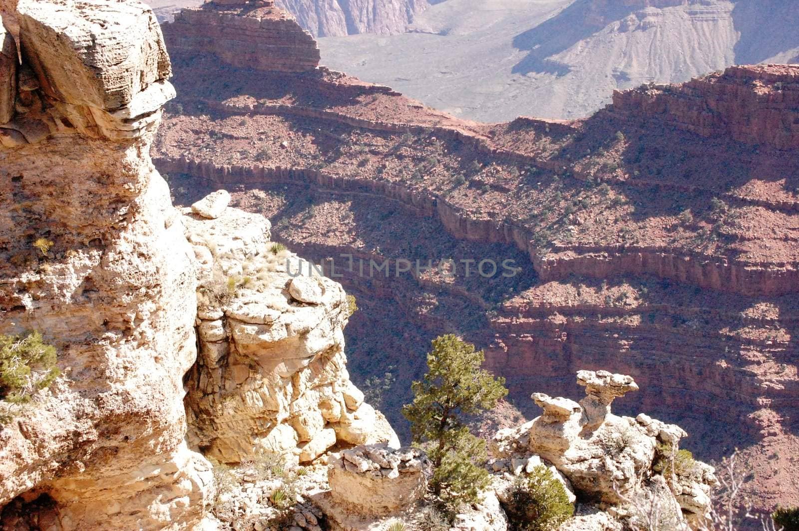 Grand Canyon - Arizona by RefocusPhoto