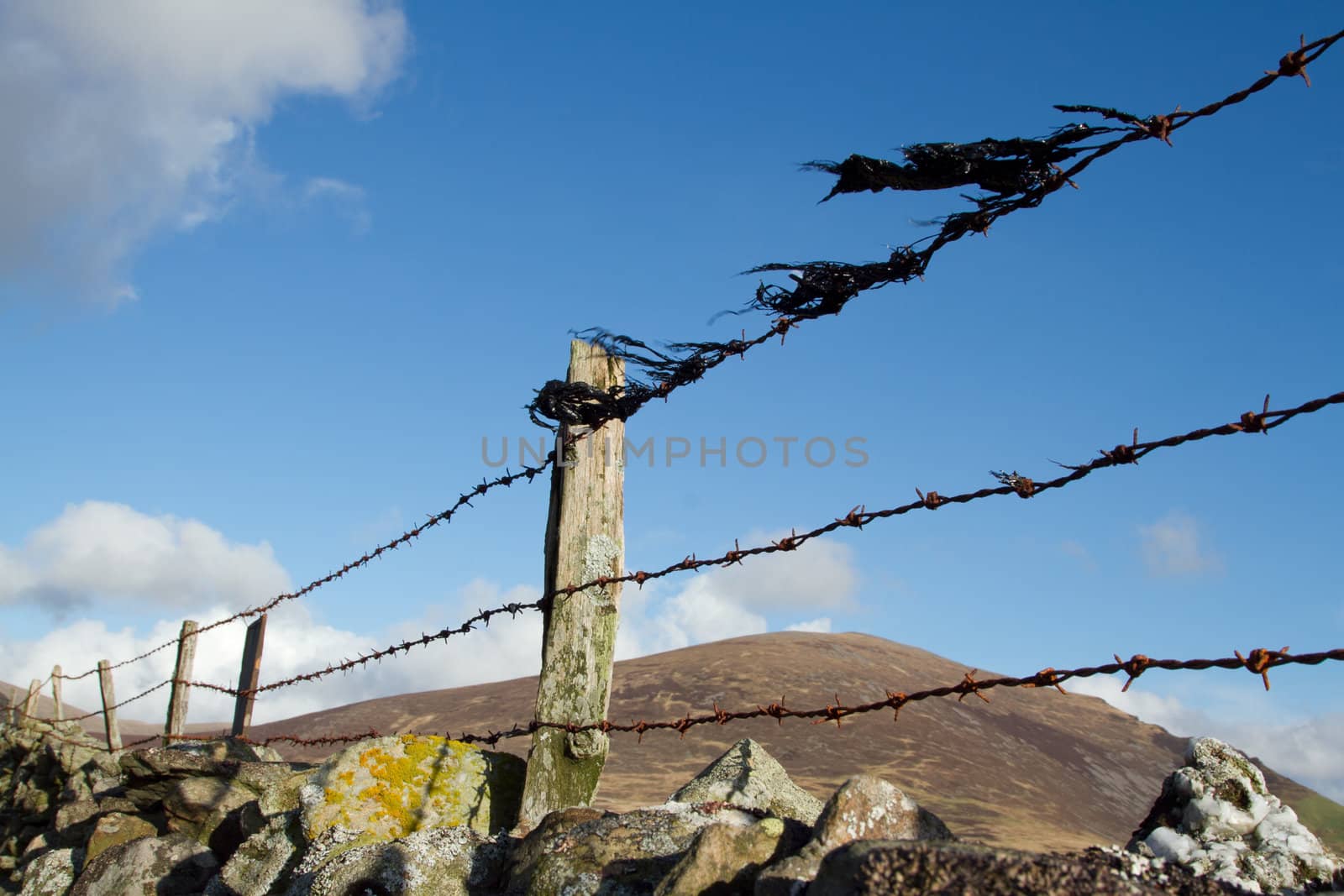 Barbed wire fence. by richsouthwales