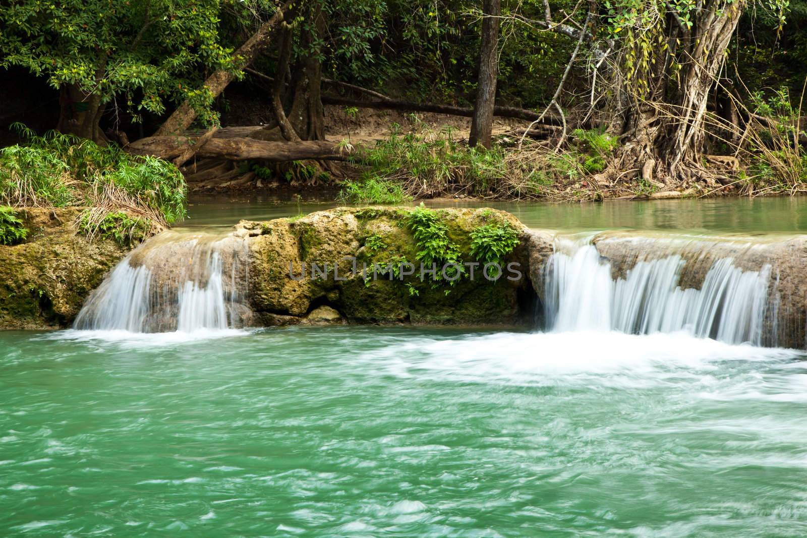 The scenery of natural waterfall in the forest with green water stone and woods.