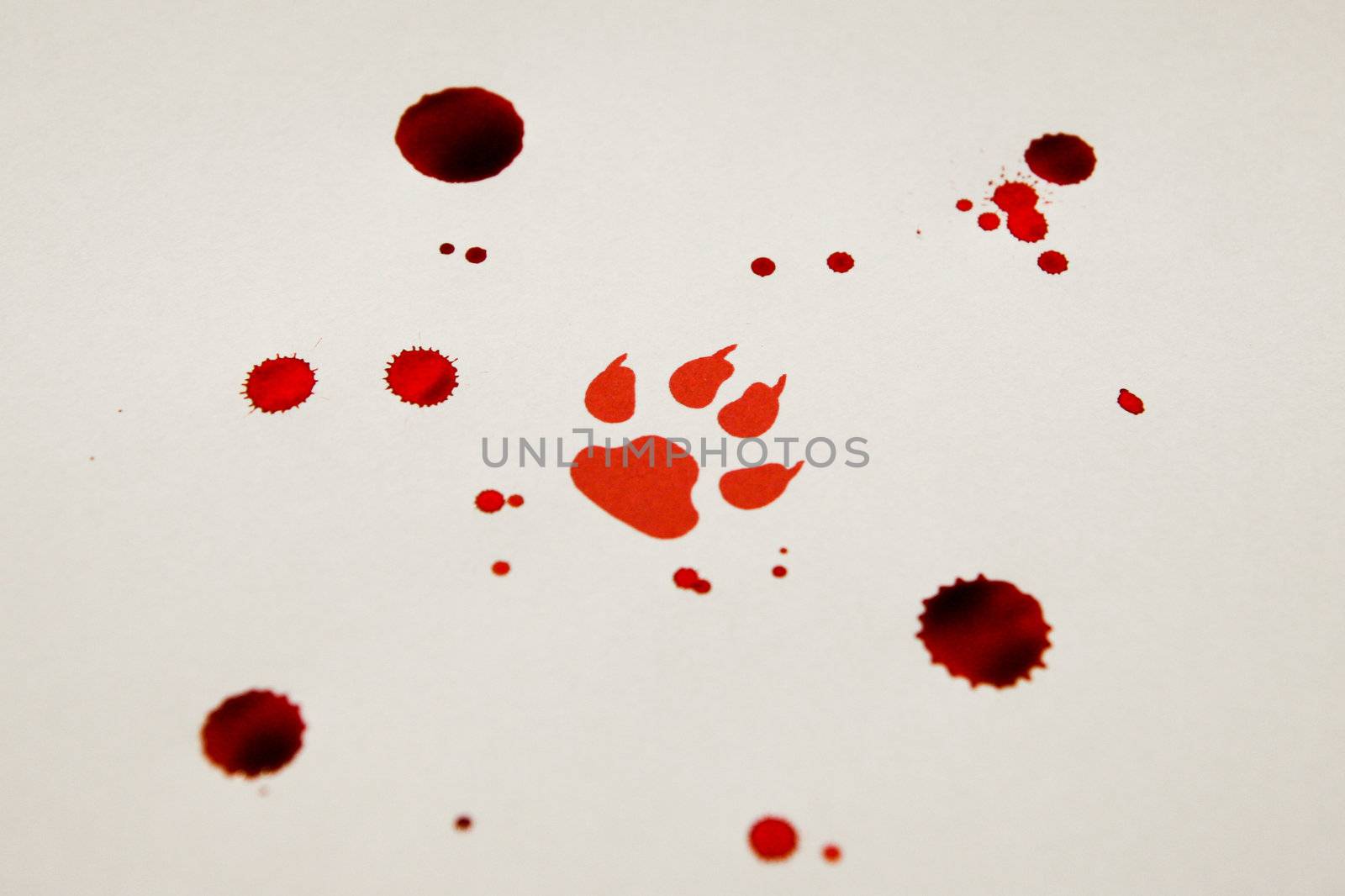 Fake bloody paw trace on white paper