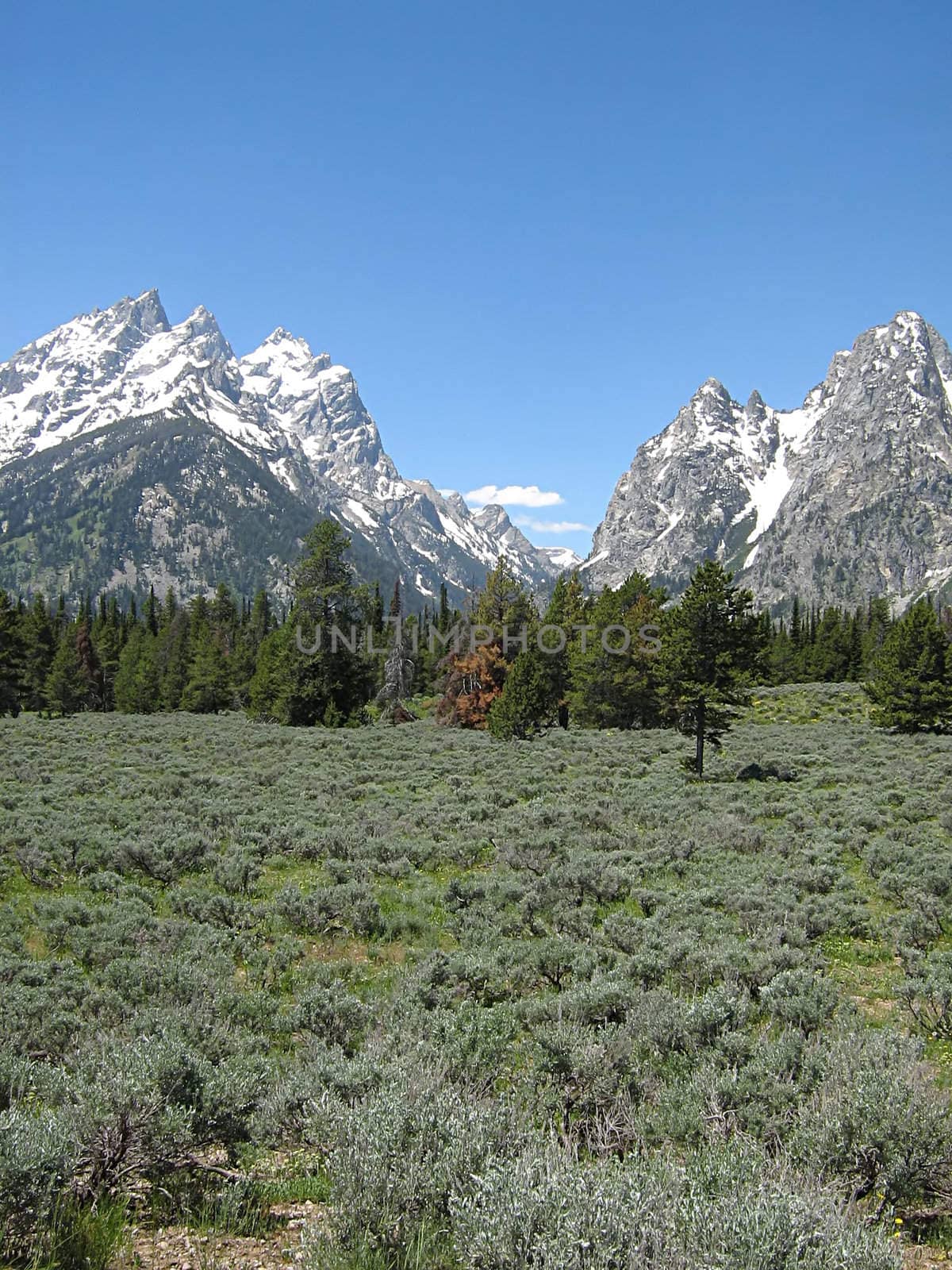 A photograph of a peaceful mountain landscape.