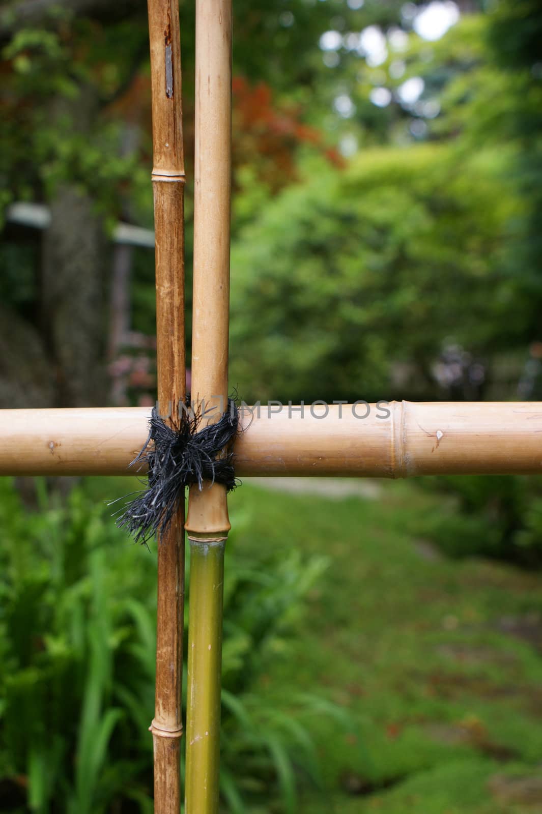 Bamboo fence detail by daboost