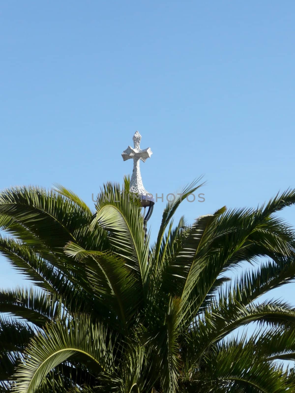 Palm tree and crucifix in Barcelona