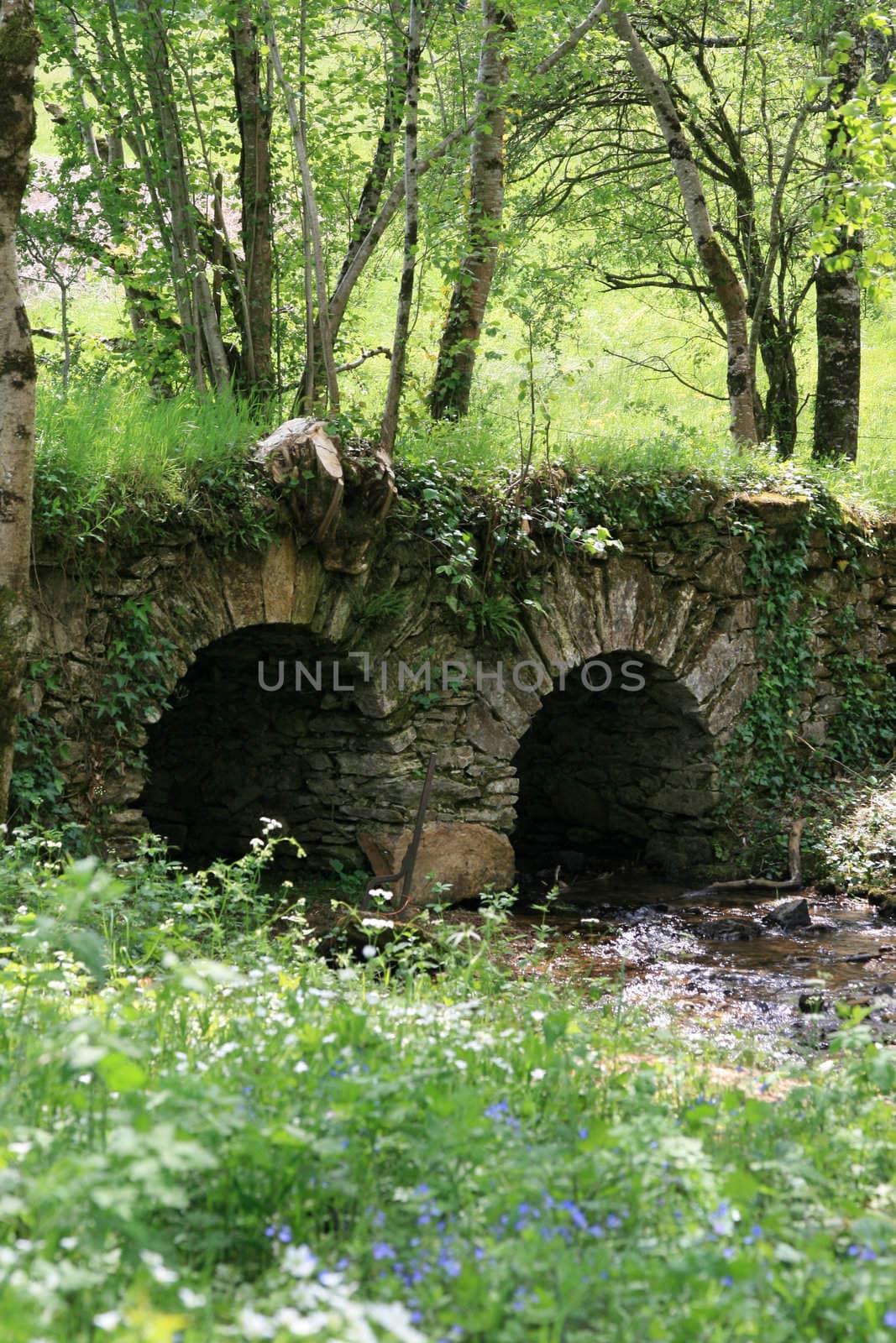 nice little stone bridge in a forest