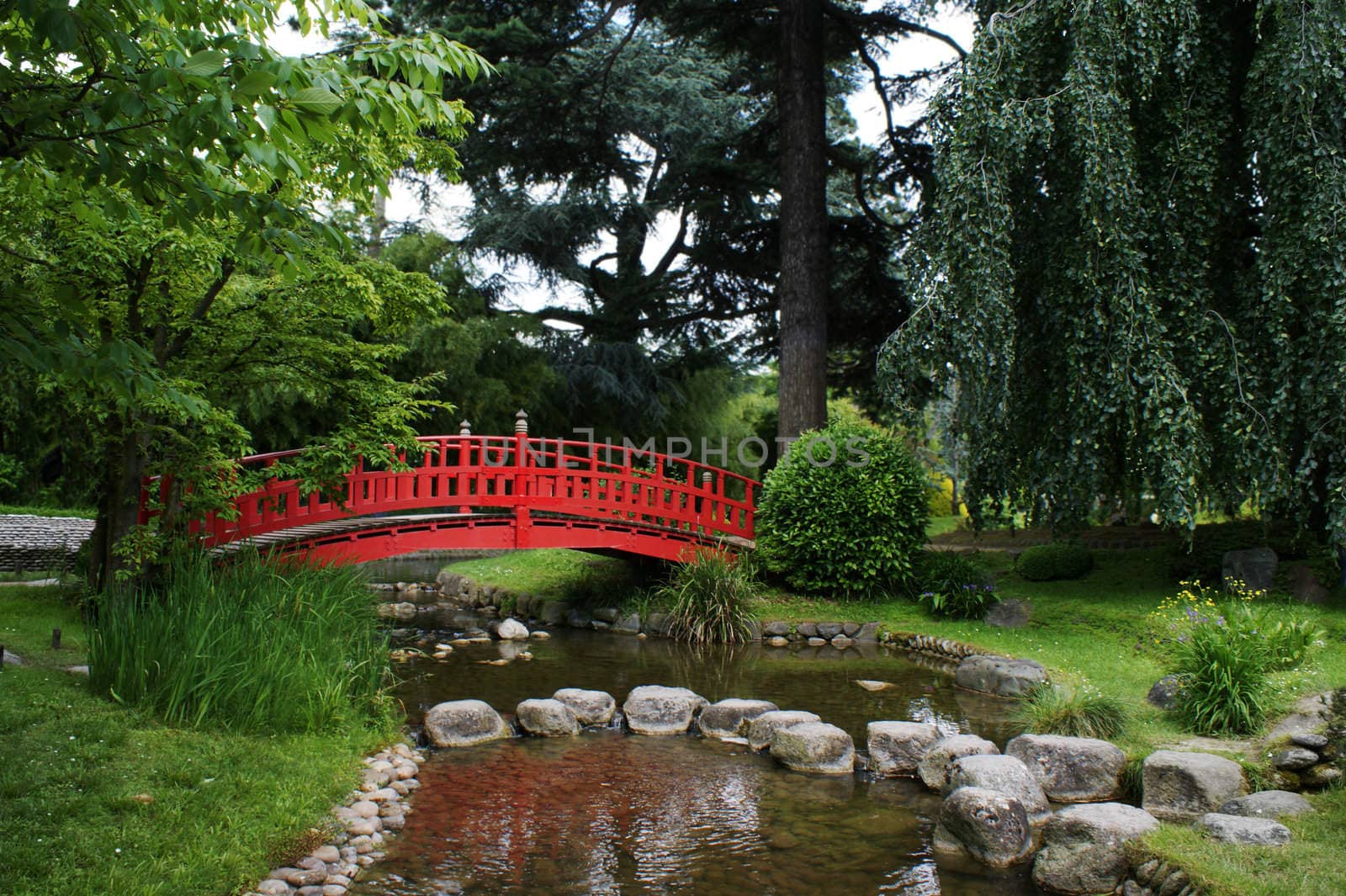 Red bridge in a japanese garden