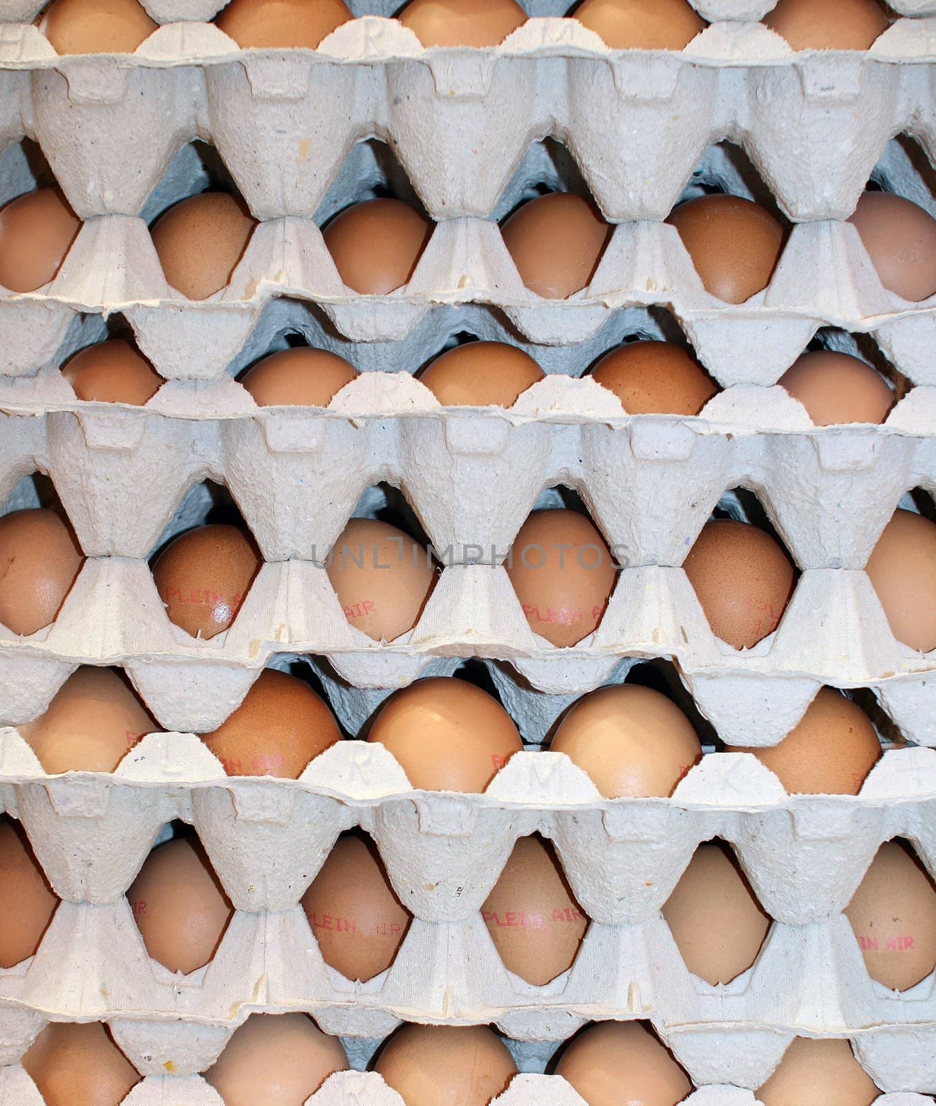 Stock of eggs during an agricultural show