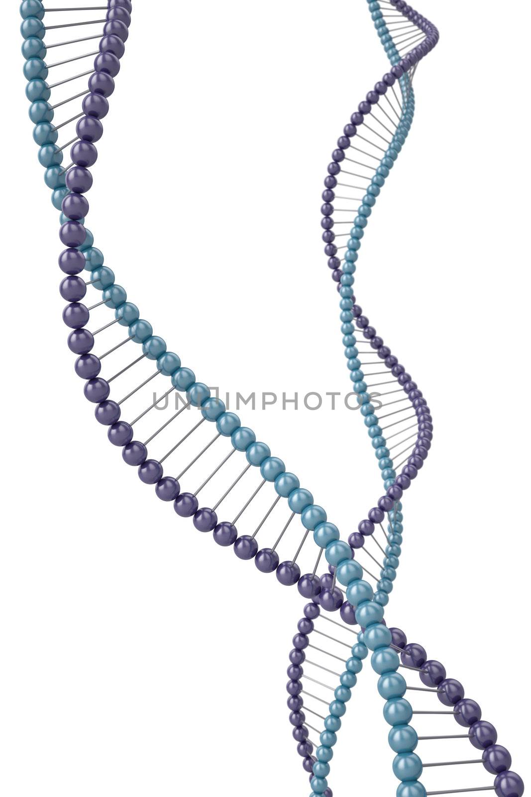 Dna strands. 3D render.