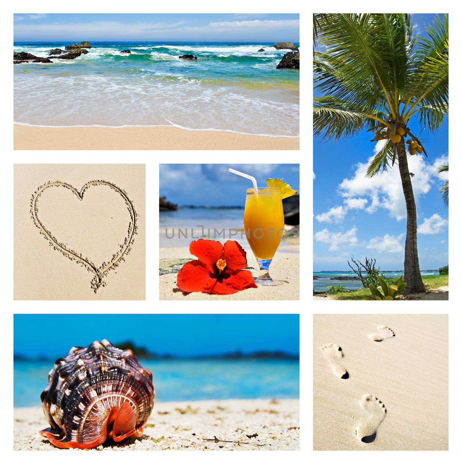 Collage of tropical island scenes by tish1