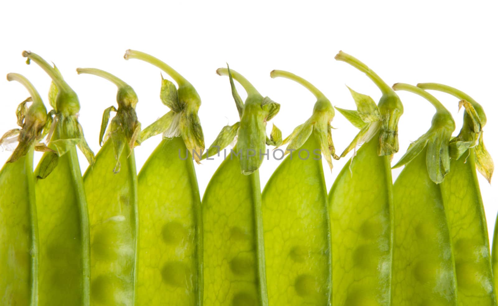 Closeup of green pea pods isolated