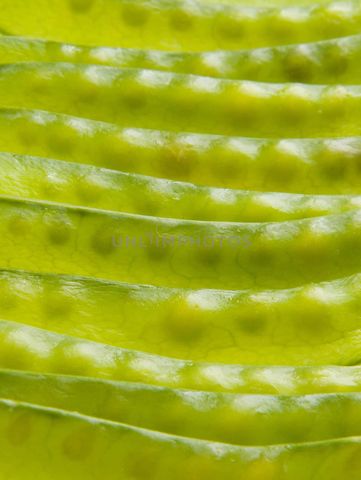 A close up of stacked green pea pods