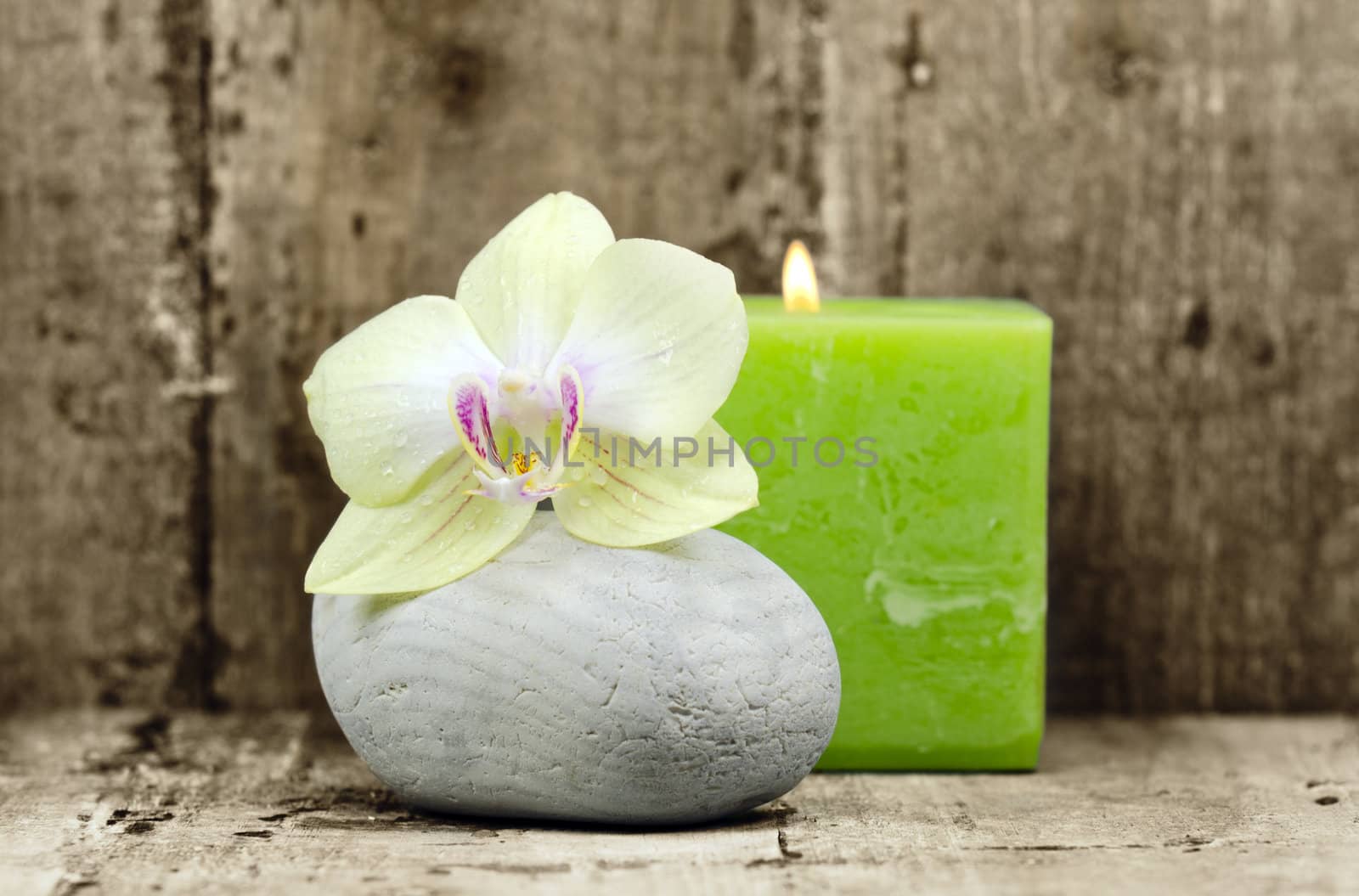 an orchid flower on a stone with a candle in the background