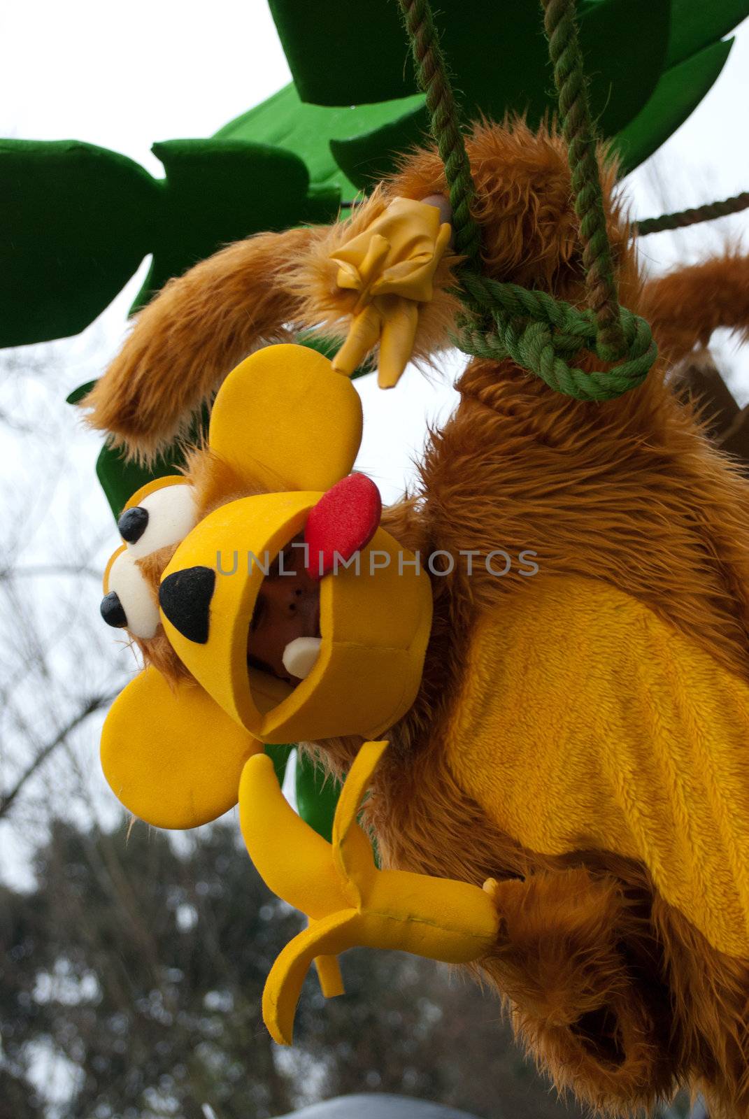 Carnaval de Ovar, Portugal by homydesign