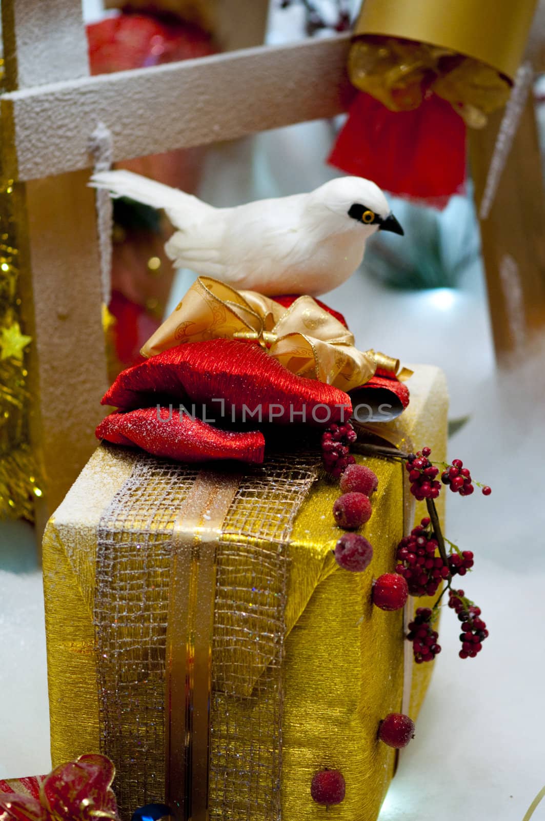 High resolution image. The white bird sits on a box.