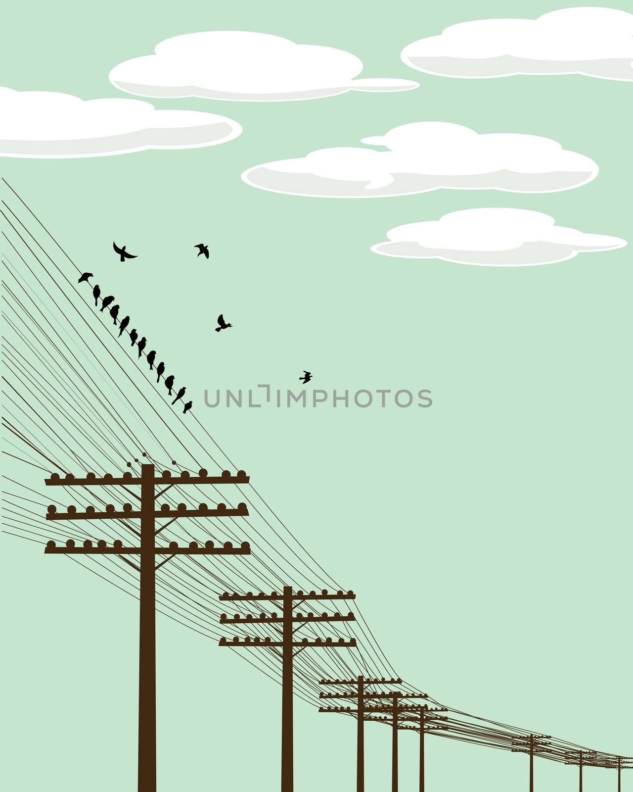 Electricity poles and birds silhouettes background illustration