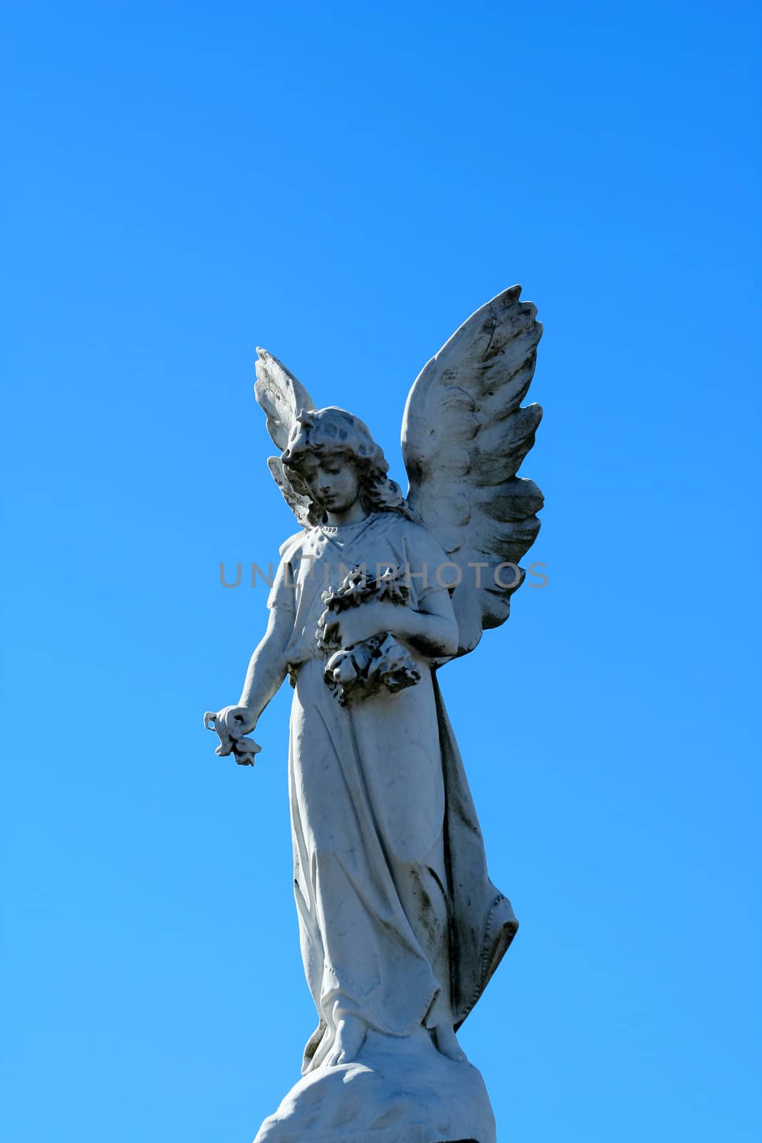 A Angel statue with blue sky
