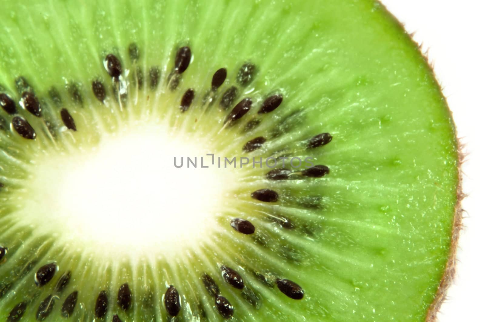 Close up on part of a cross section of fresh kiwi fruit with small portion of white background