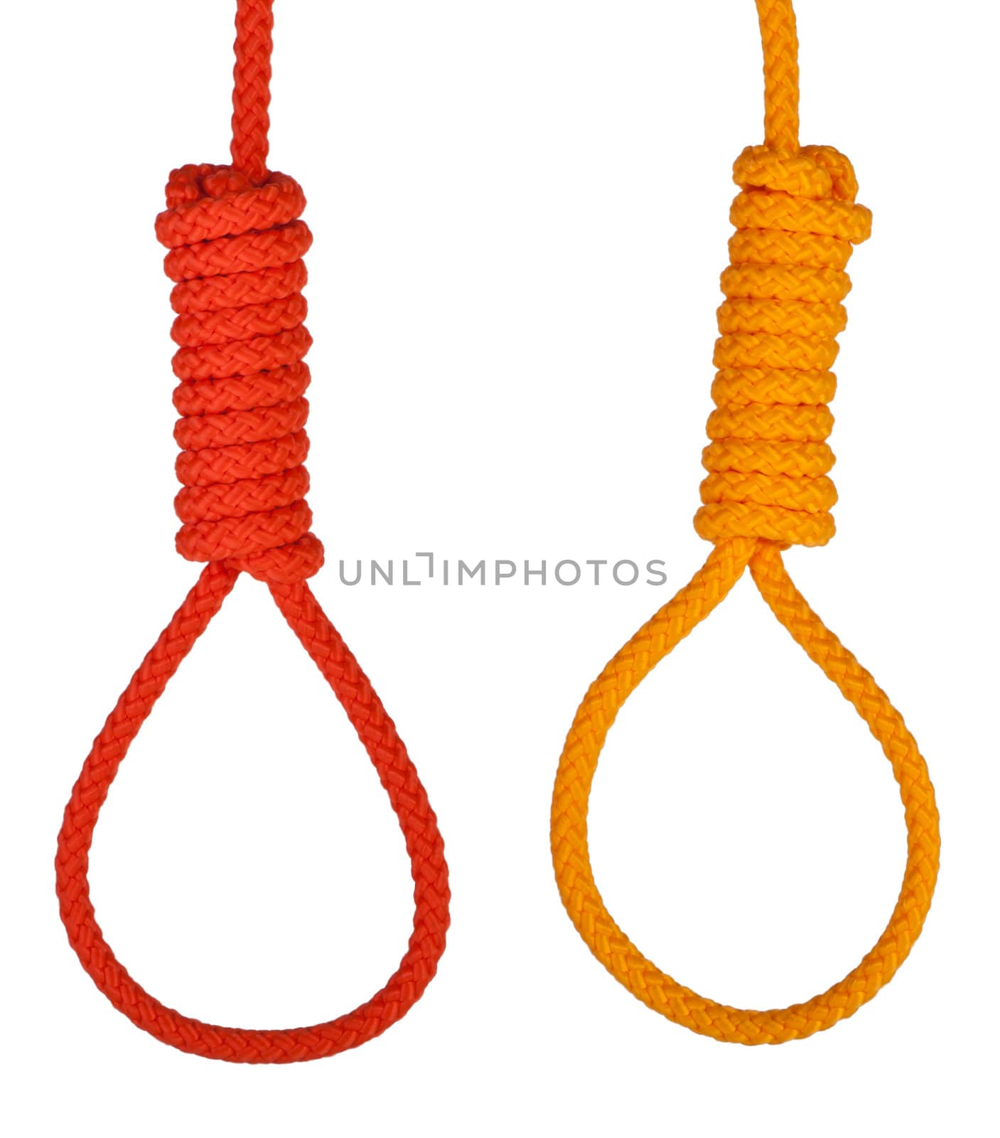 Noose isolated on white. Noose made of rope. Stock image.