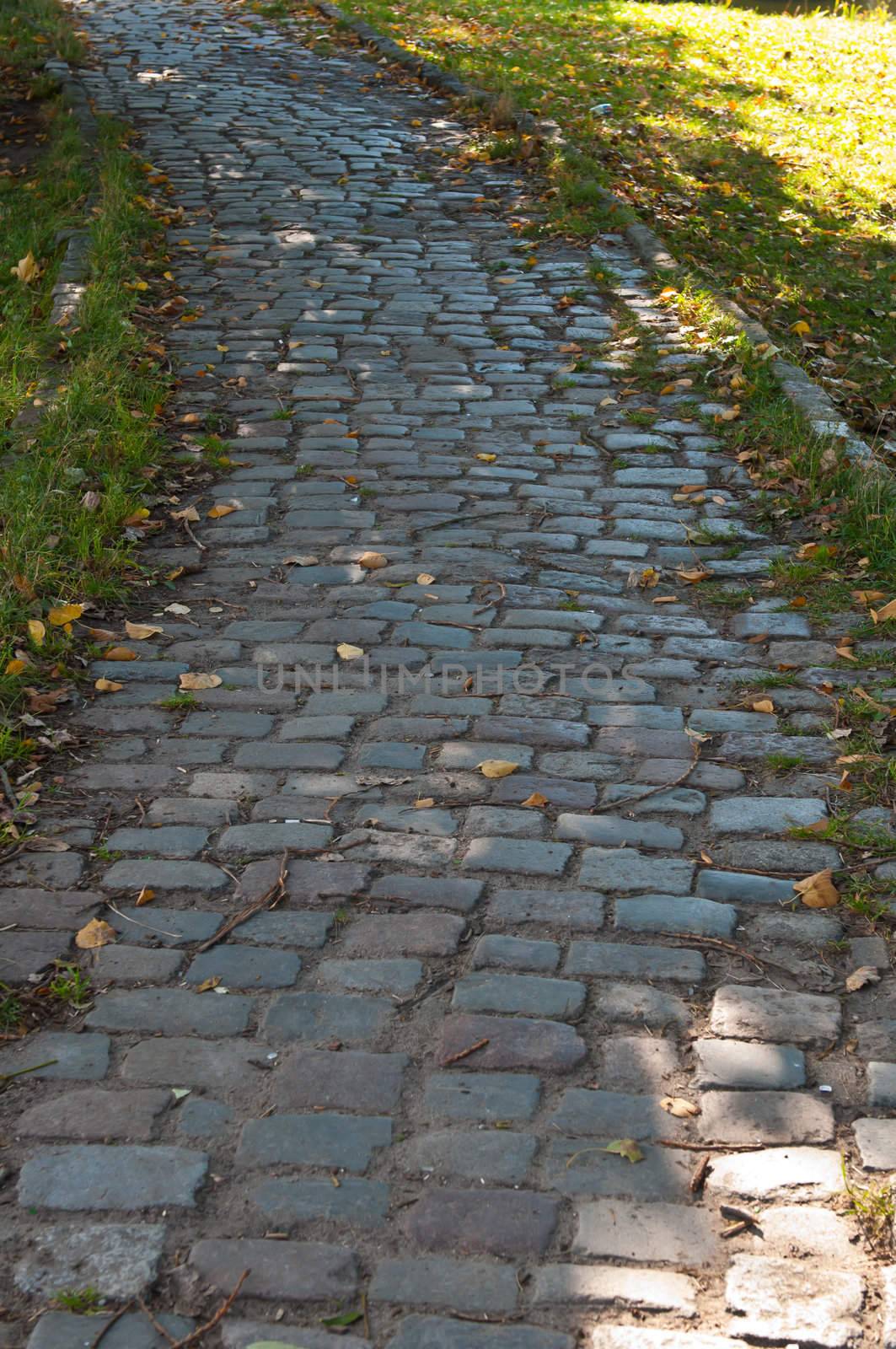 old stone road. Cobble stone. Vintage street. Autumn season.