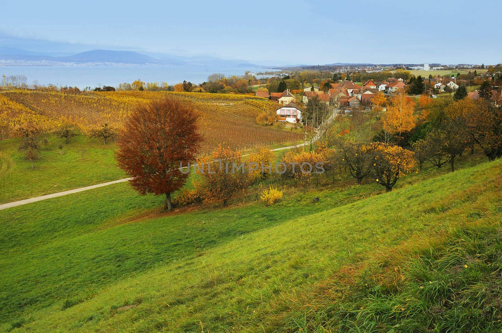 Lake Neuchatel and countryside by ventdusud
