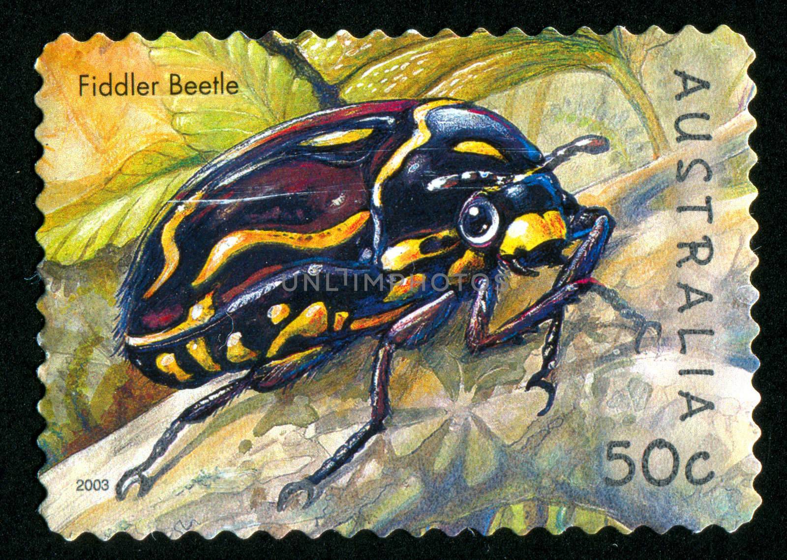 AUSTRALIA - CIRCA 2003: stamp printed by Australia, shows Fiddler beetle, circa 2003