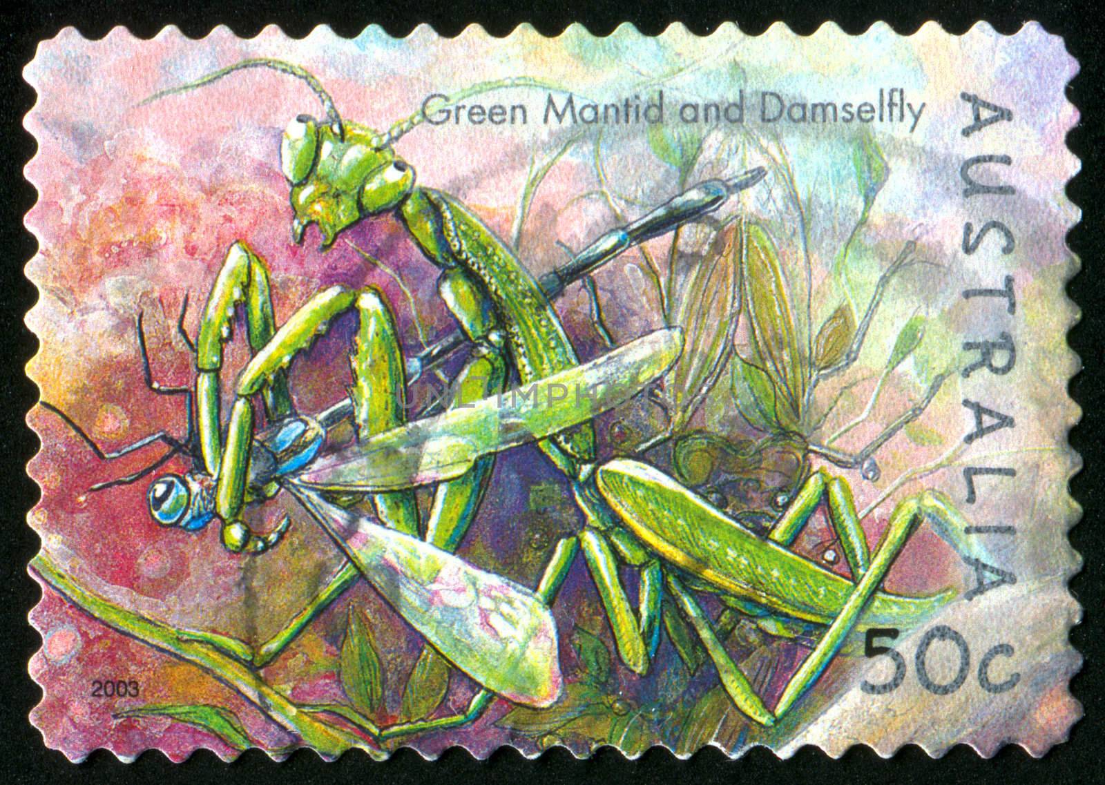 AUSTRALIA - CIRCA 2003: stamp printed by Australia, shows green mantid and damselfly, circa 2003