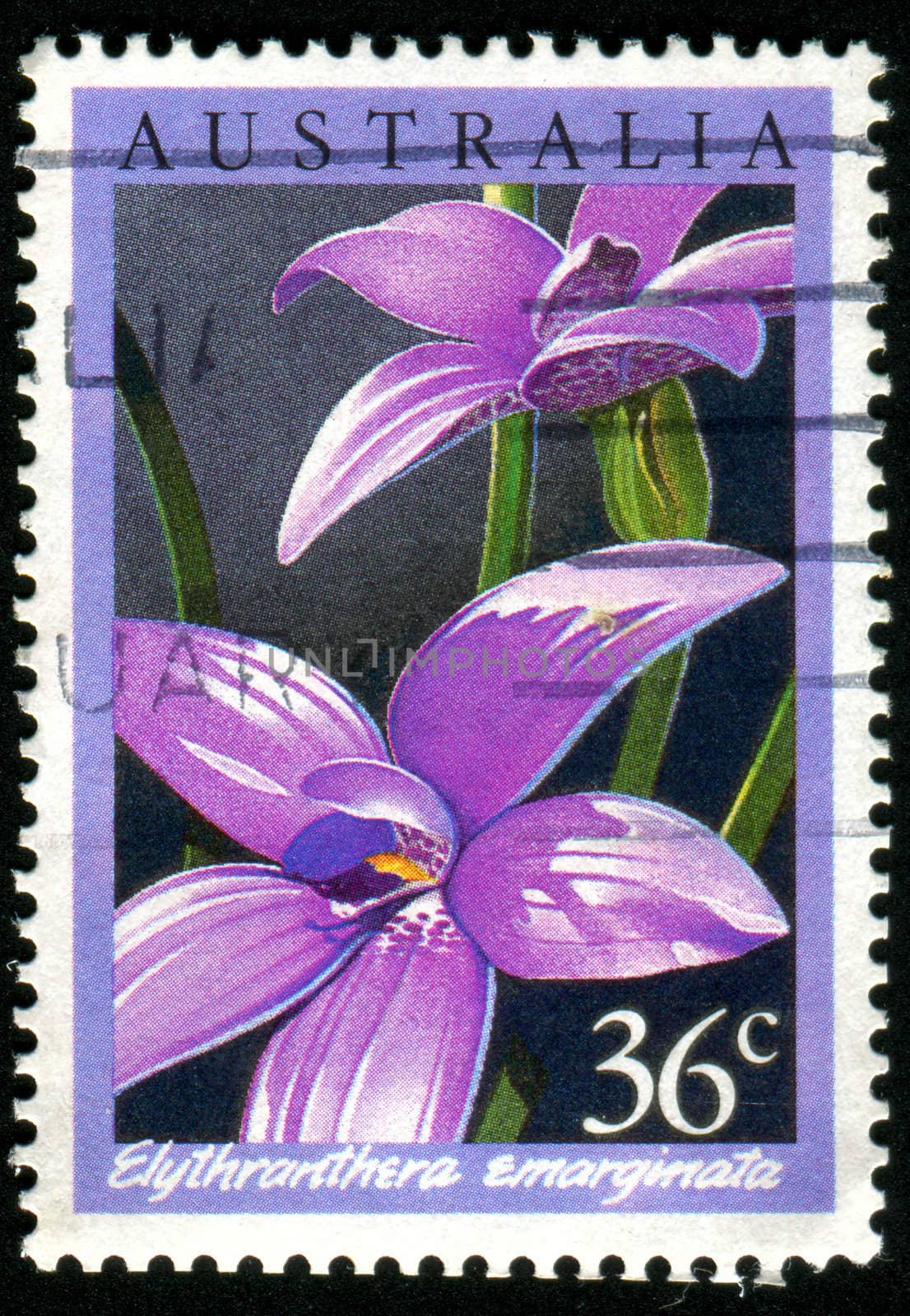AUSTRALIA - CIRCA 1986: stamp printed by Australia, shows Orchid, circa 1986