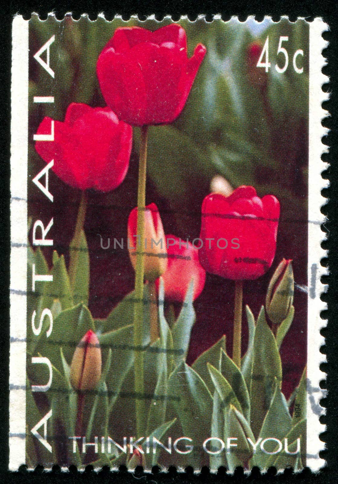 AUSTRALIA - CIRCA 1994: stamp printed by Australia, shows Tulips, circa 1994