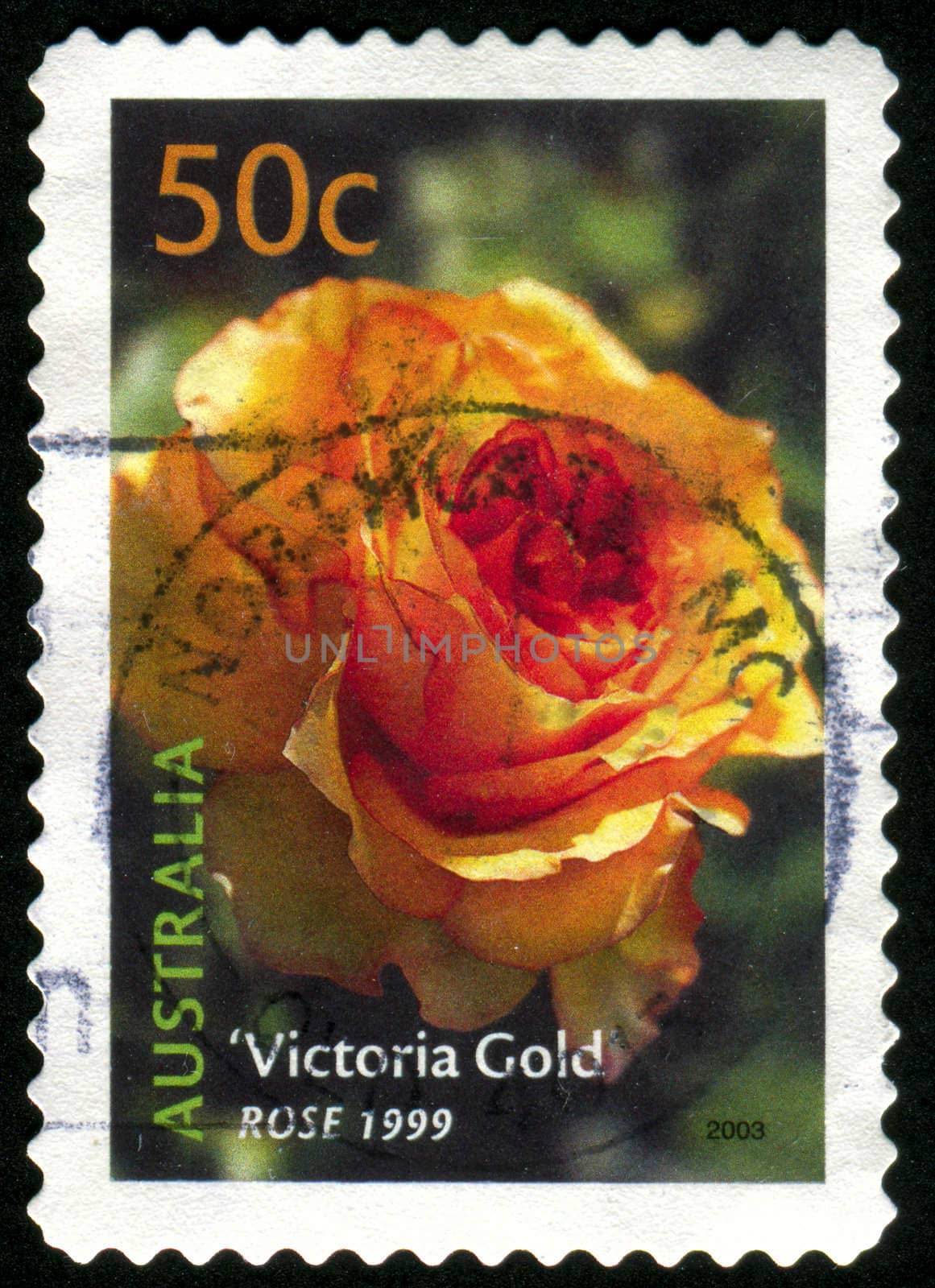 AUSTRALIA - CIRCA 2003: stamp printed by Australia, shows Victoria Gold rose, circa 2003