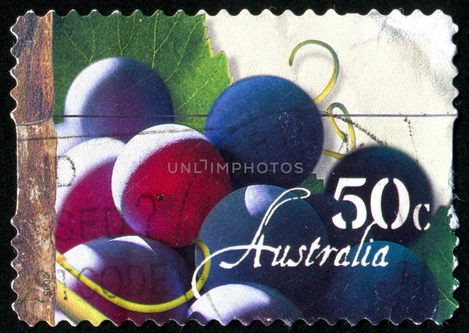 AUSTRALIA - CIRCA 2005: stamp printed by Australia, shows Grapes, grape leaves, circa 2005