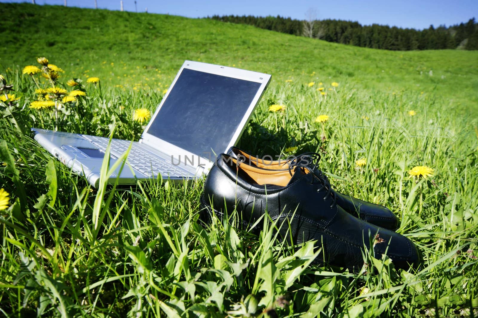 laptop in grass as a symbol for fieldwork,leisure or holiday