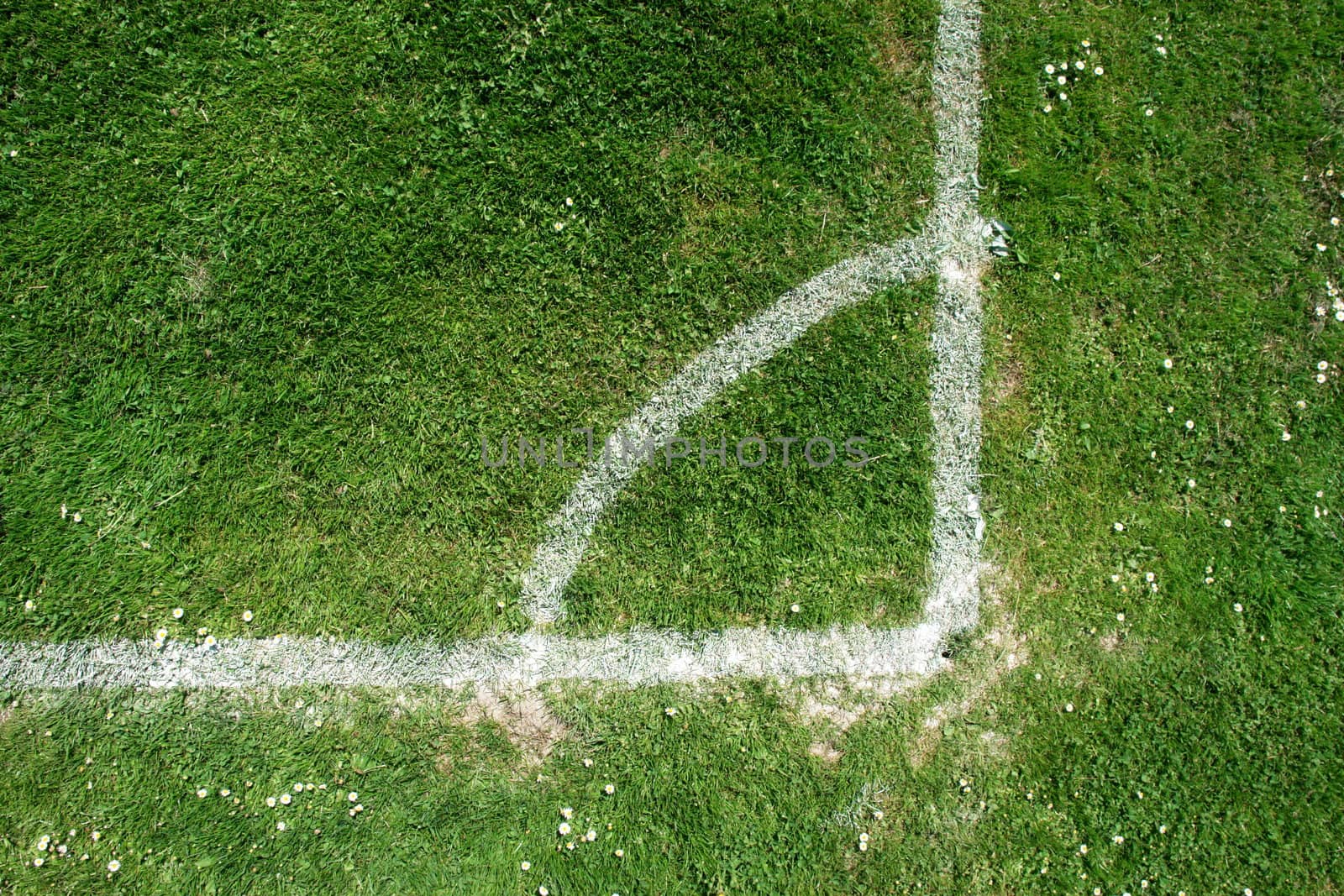 soccer field close-ups of markings on a sunny day