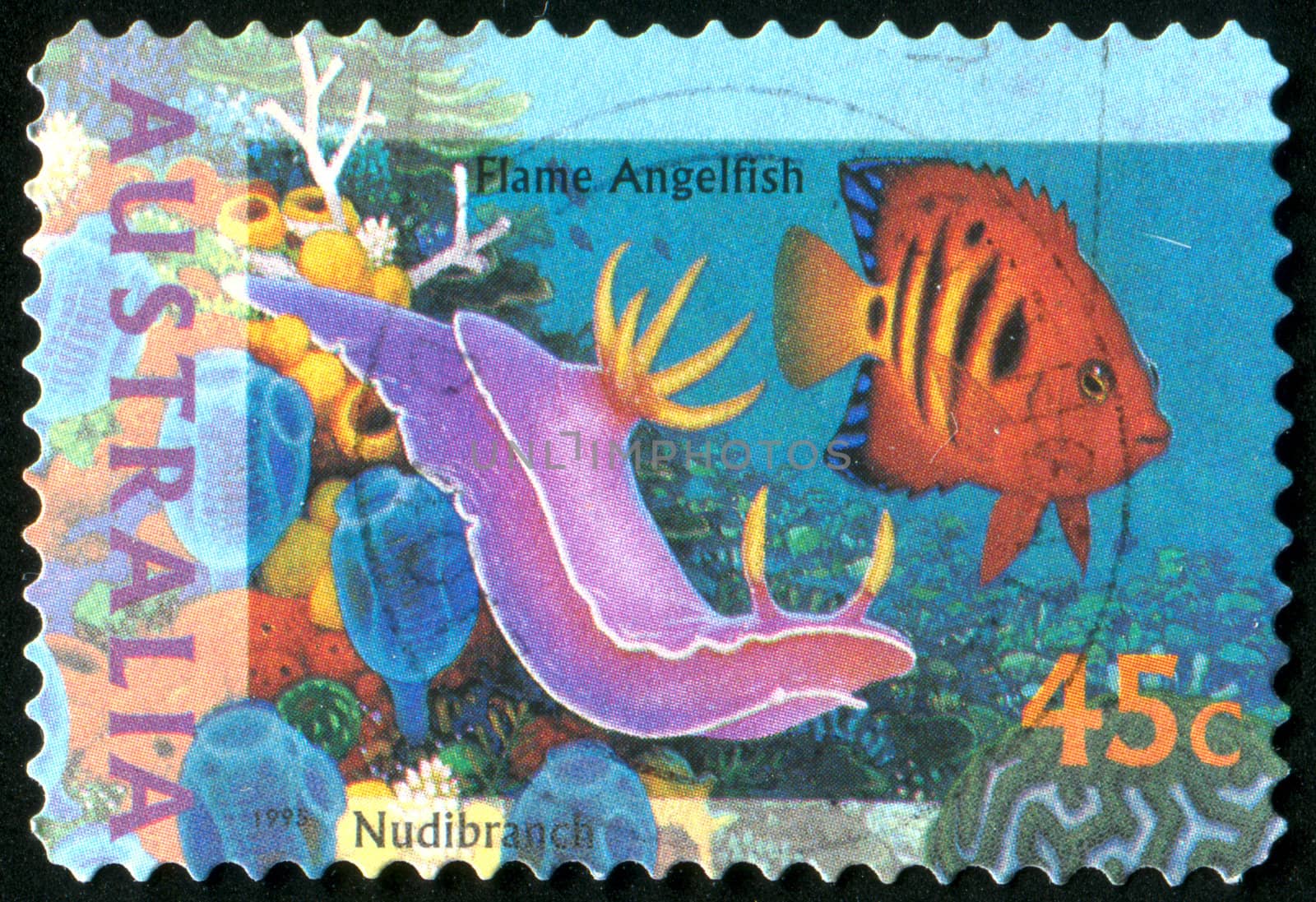 AUSTRALIA - CIRCA 1995: stamp printed by Australia, shows Flame angelfish, circa 1995